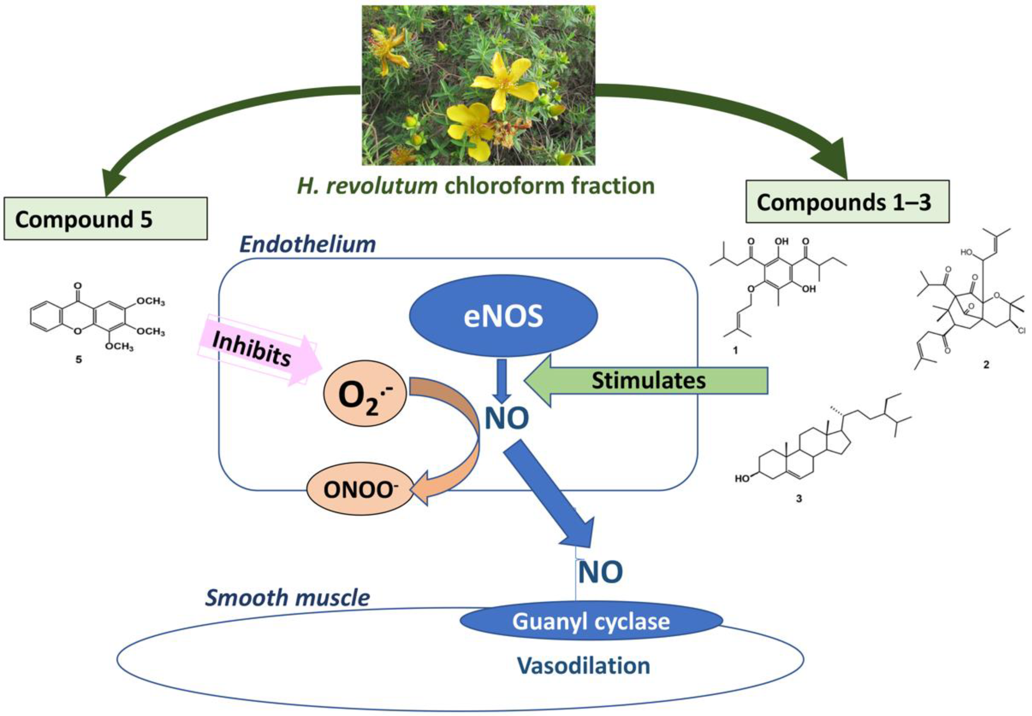 Biology 10 00541 g009