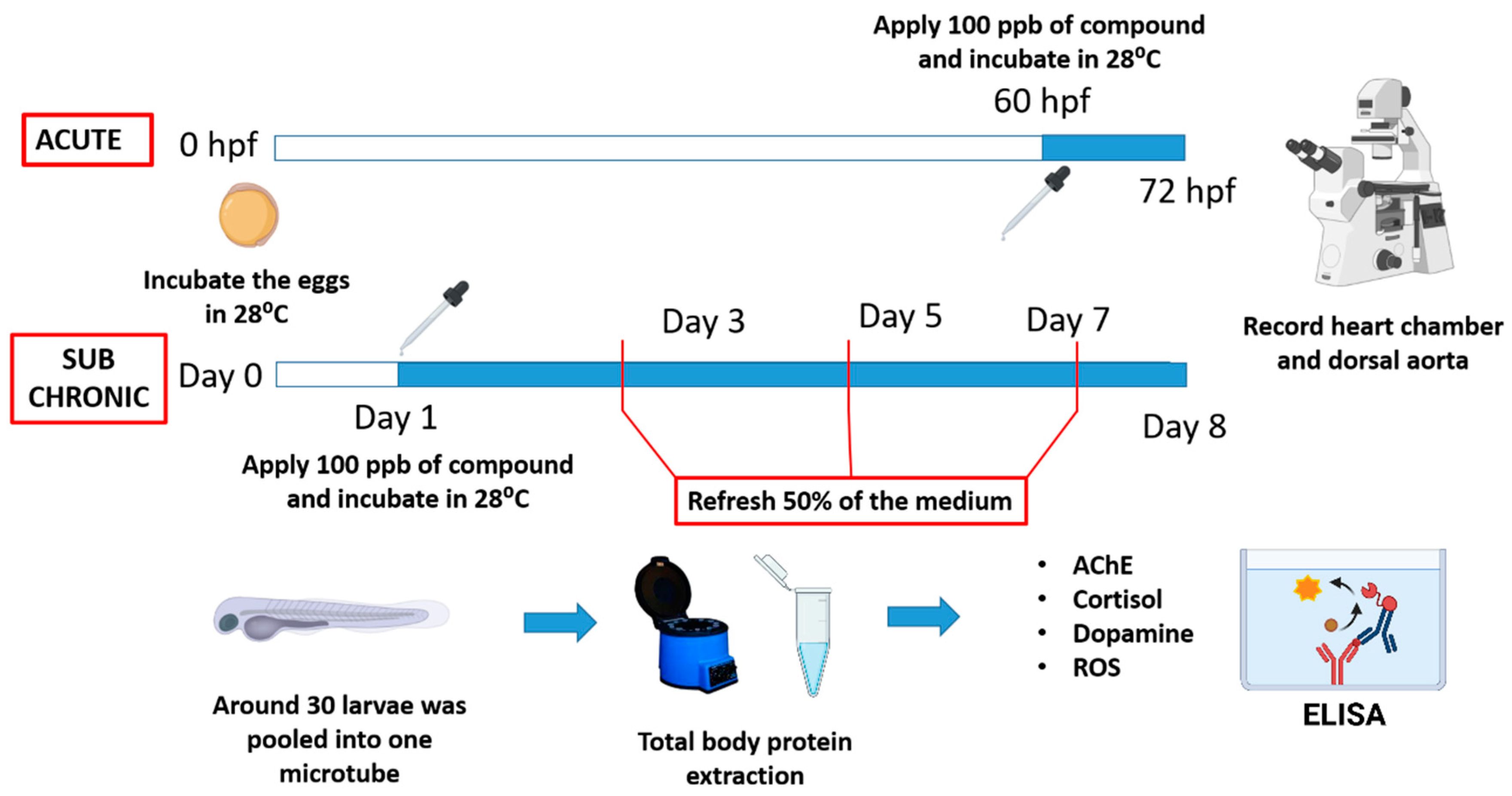 Biology 10 00548 g001 Biology 10 00548 g001