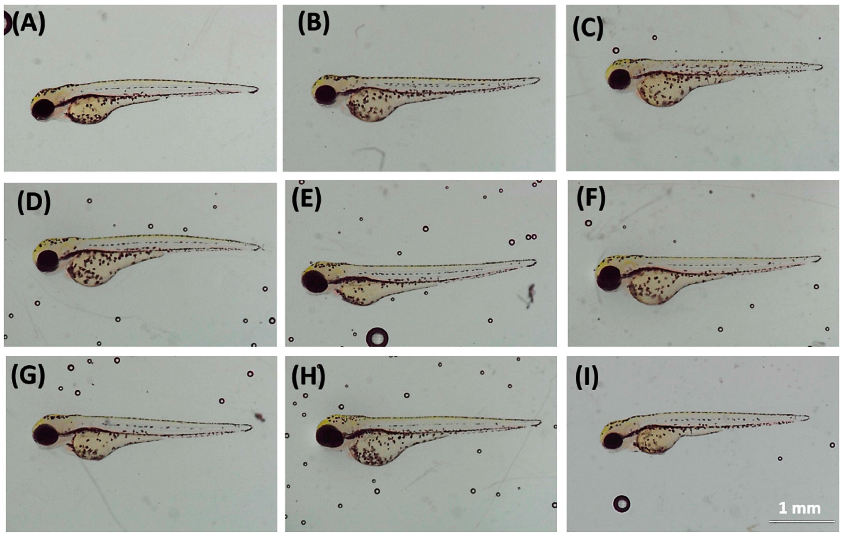 Biology 10 00548 g0a1 Biology 10 00548 g0a1