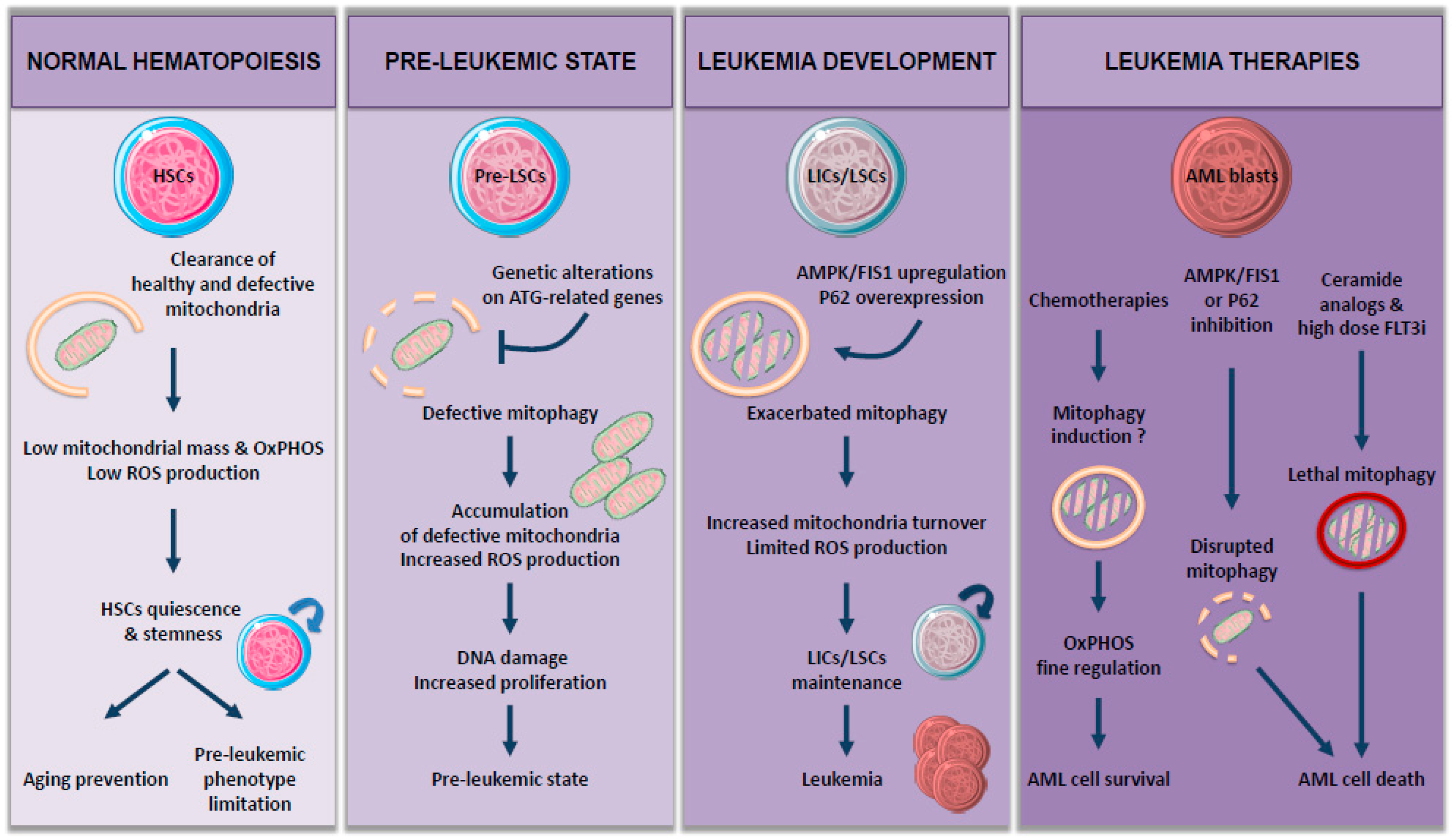 Biology 10 00552 g001 Biology 10 00552 g001