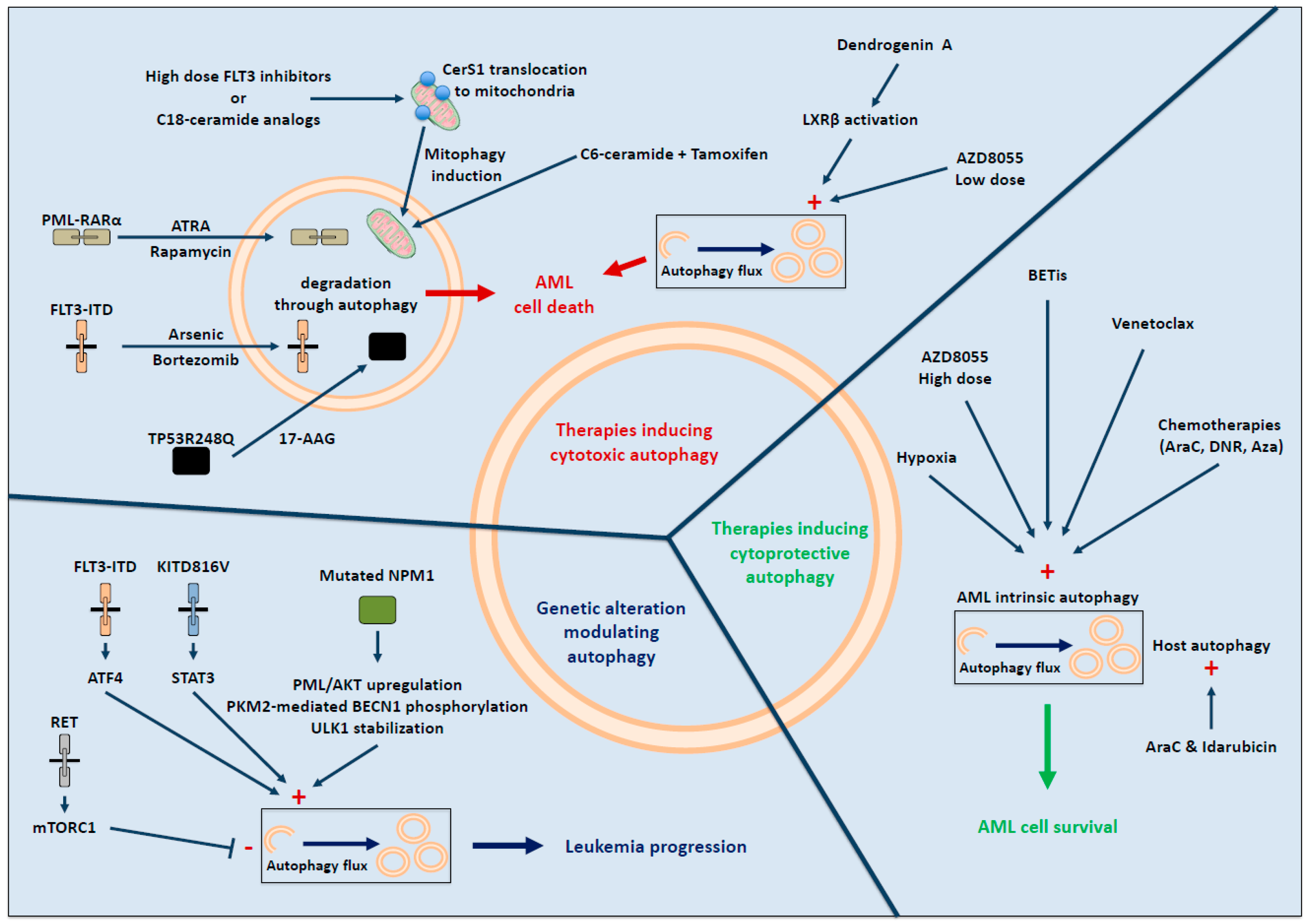 Biology 10 00552 g002 Biology 10 00552 g002