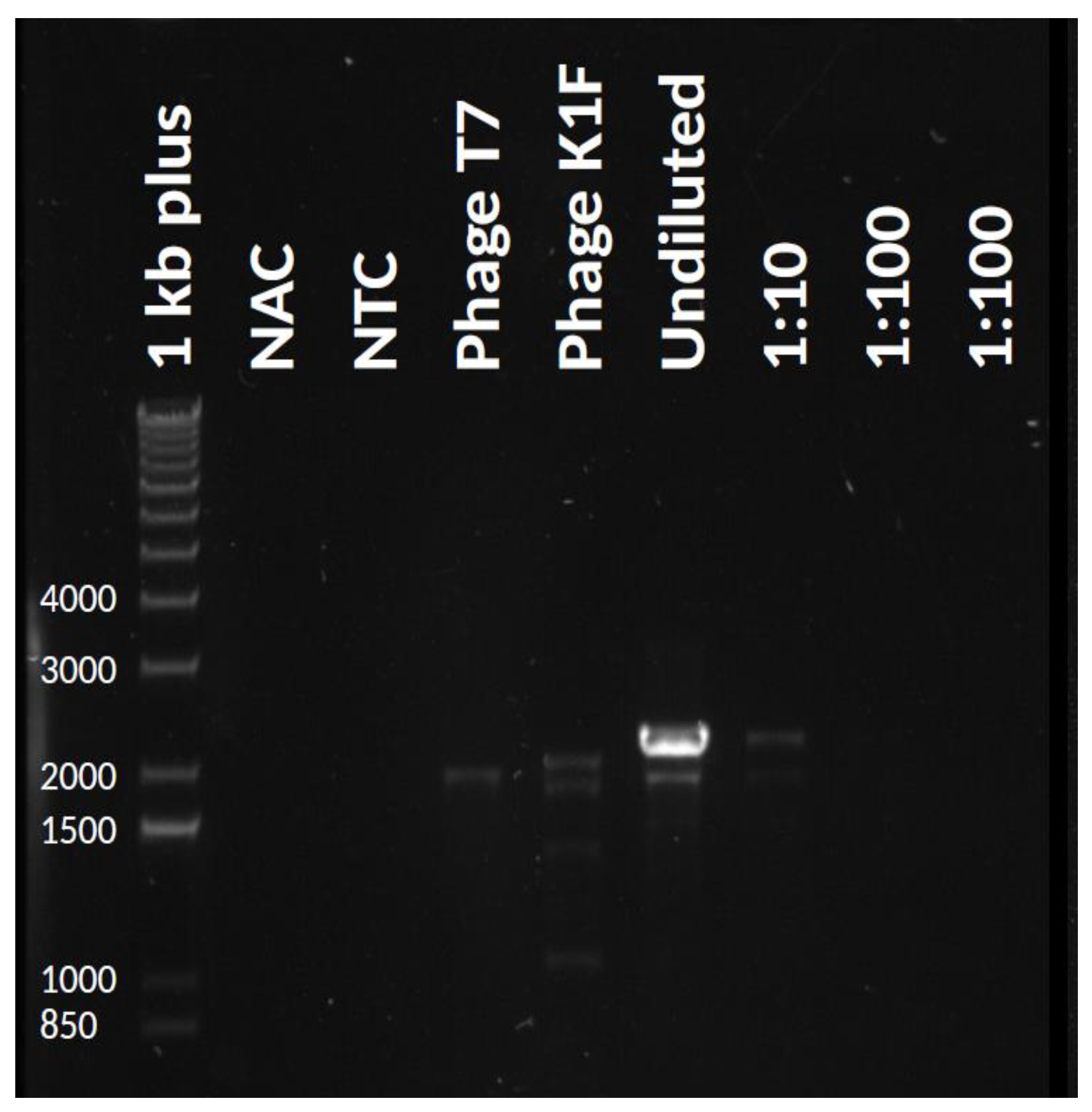 Biology 10 00556 g003