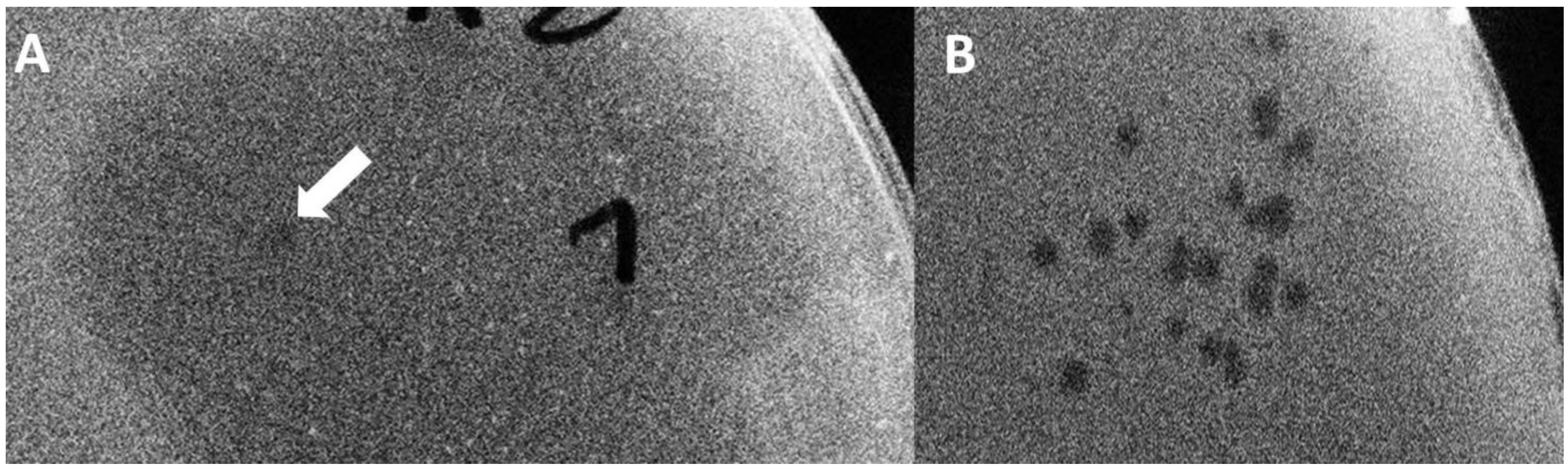 Biology 10 00556 g006