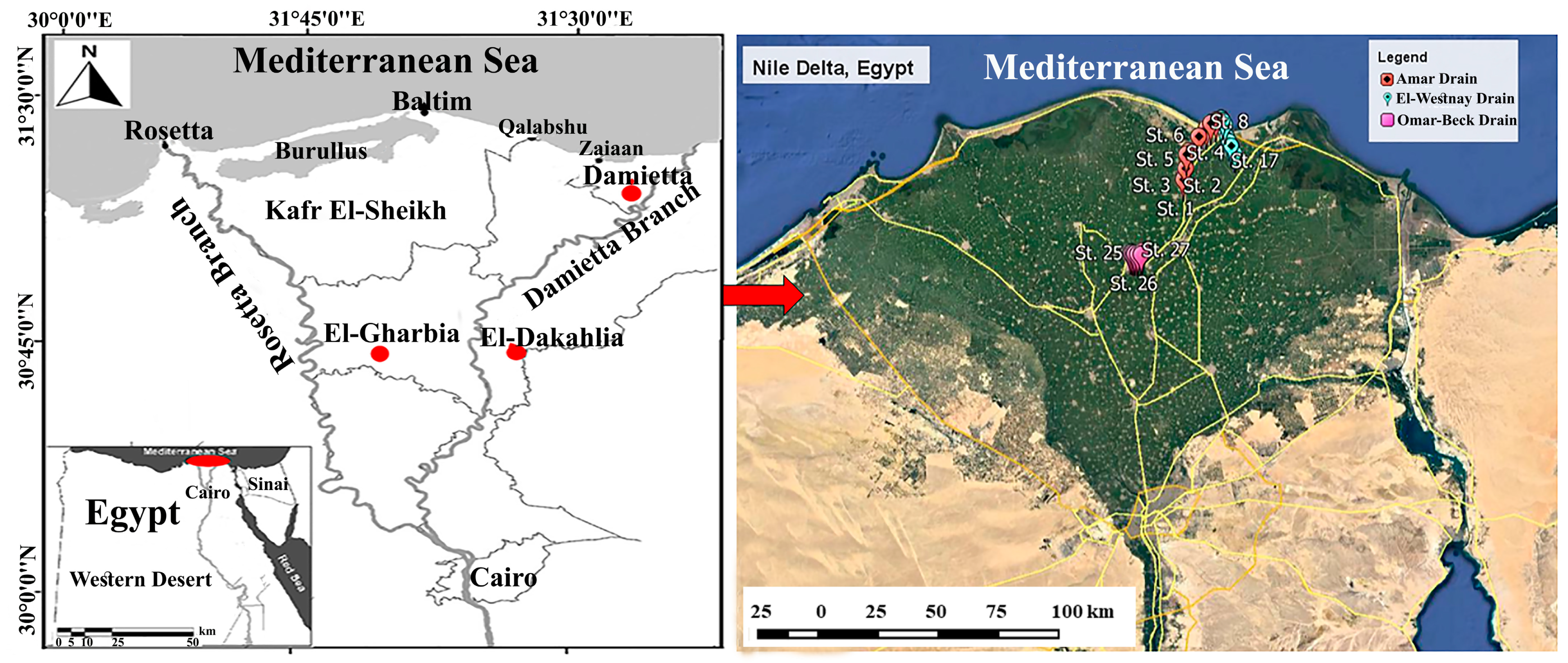 Biology 10 00560 g001