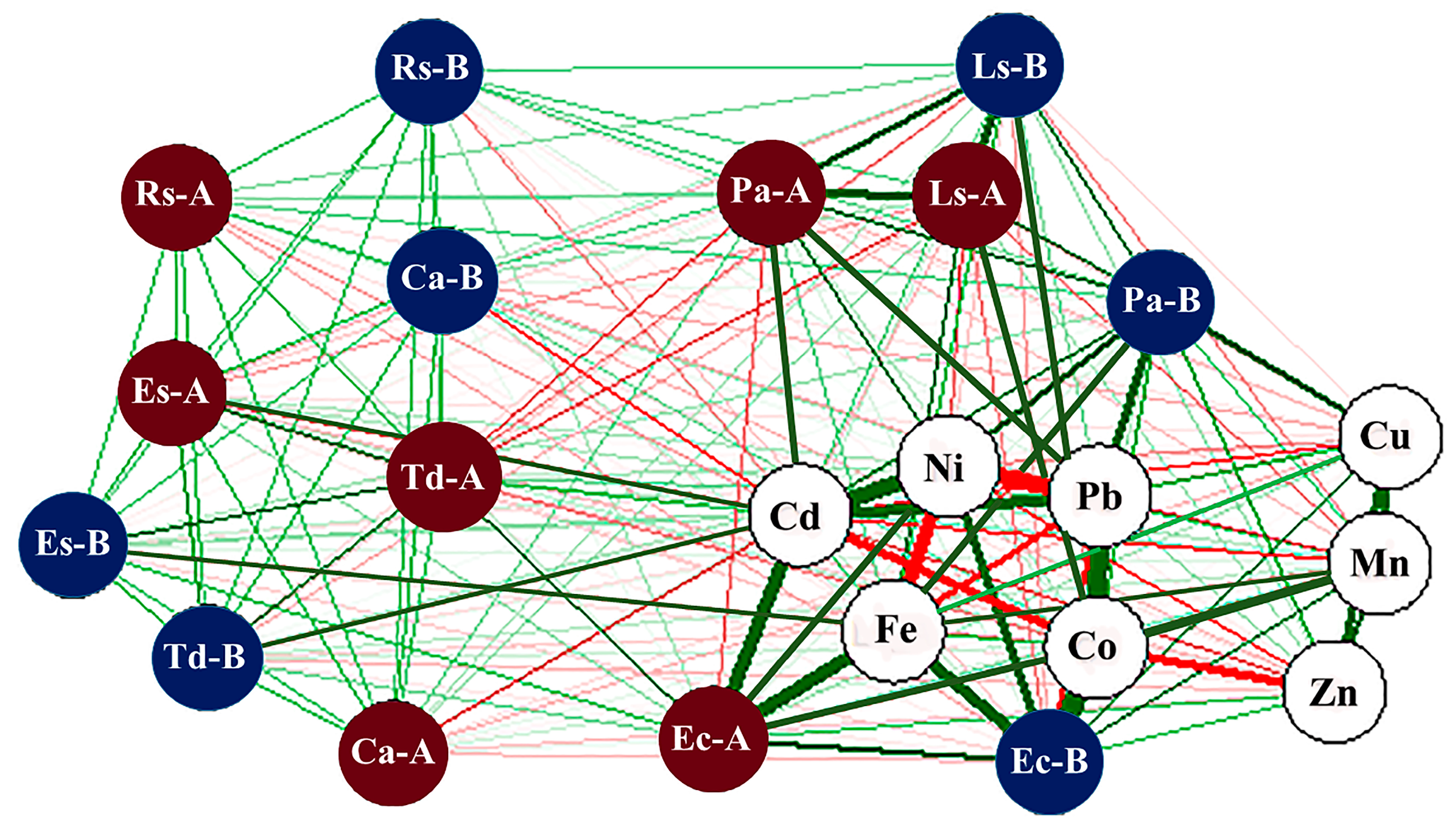 Biology 10 00560 g003