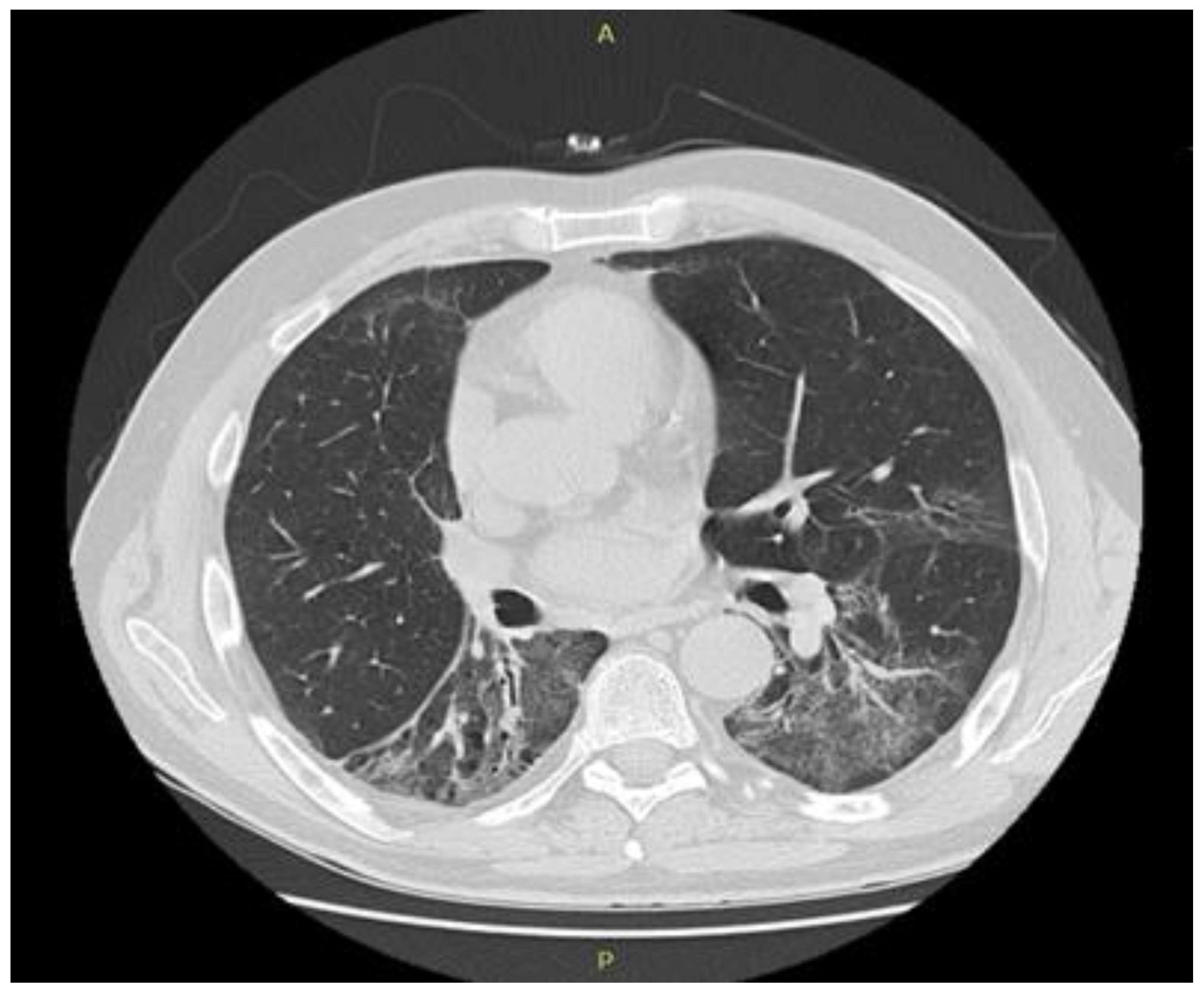 Biology 10 00561 g004 550