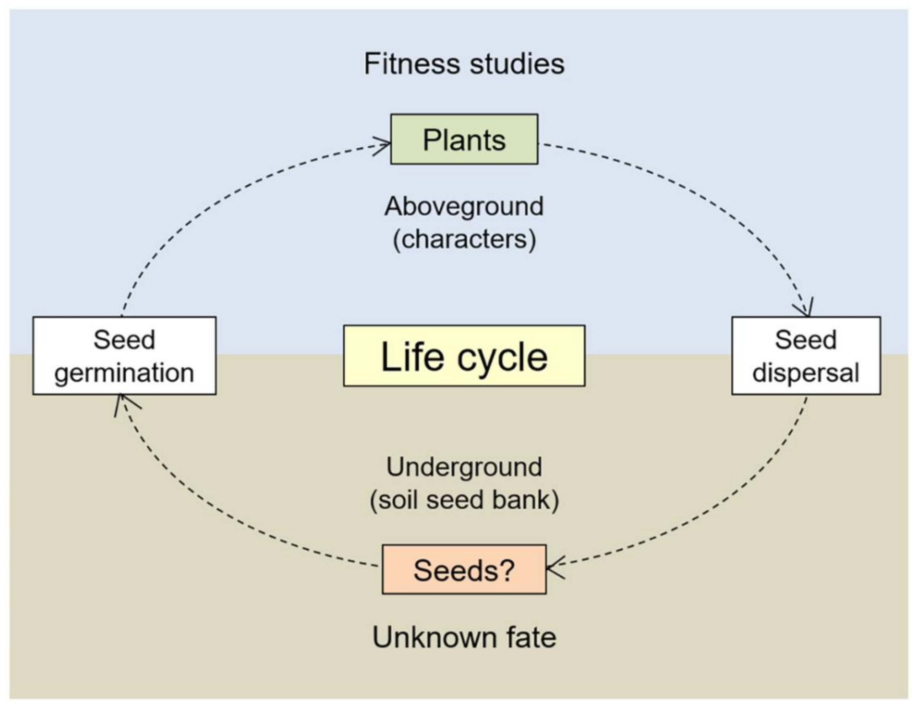 Biology 10 00562 g001 Biology 10 00562 g001