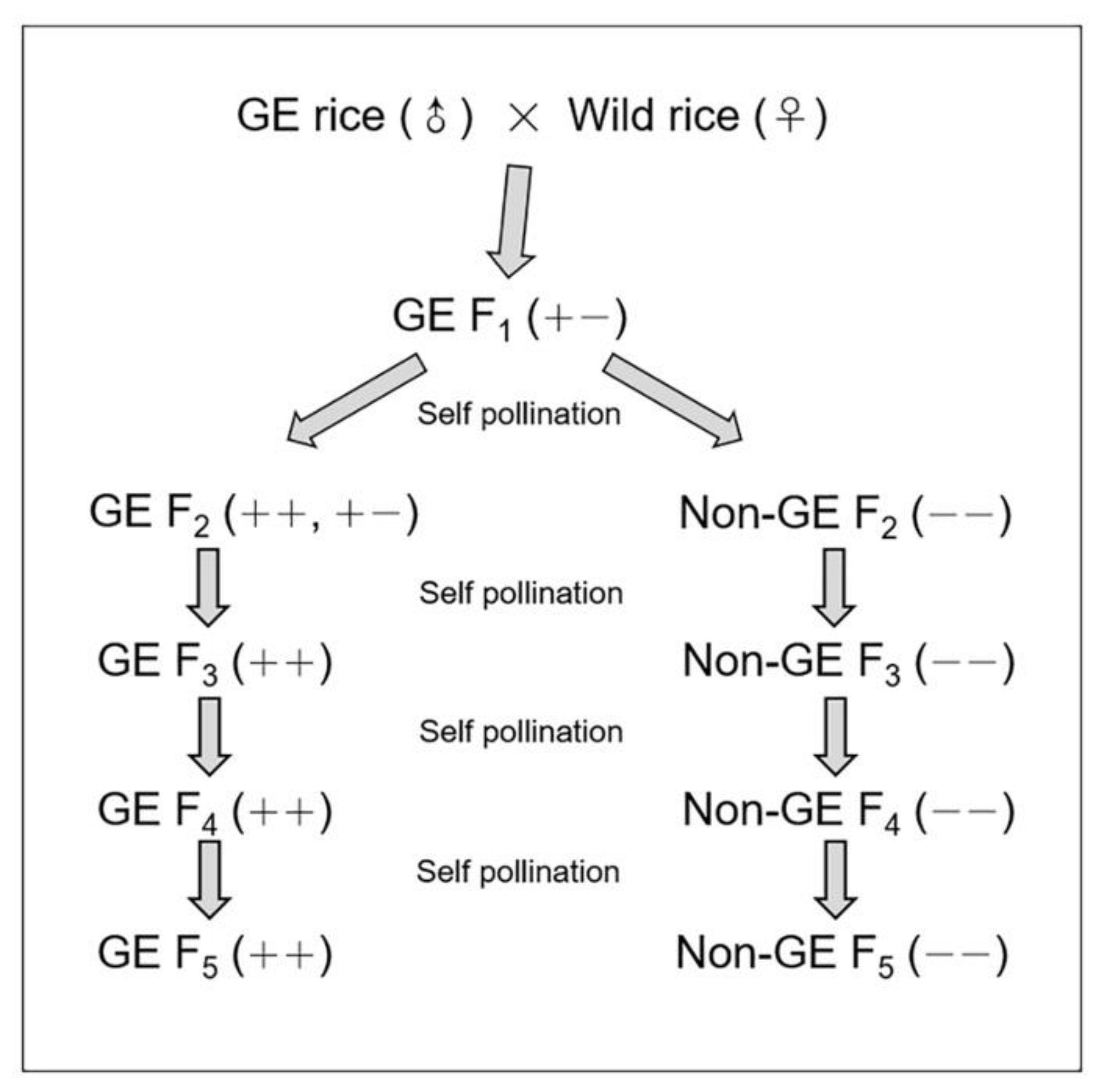 Biology 10 00562 g002 Biology 10 00562 g002