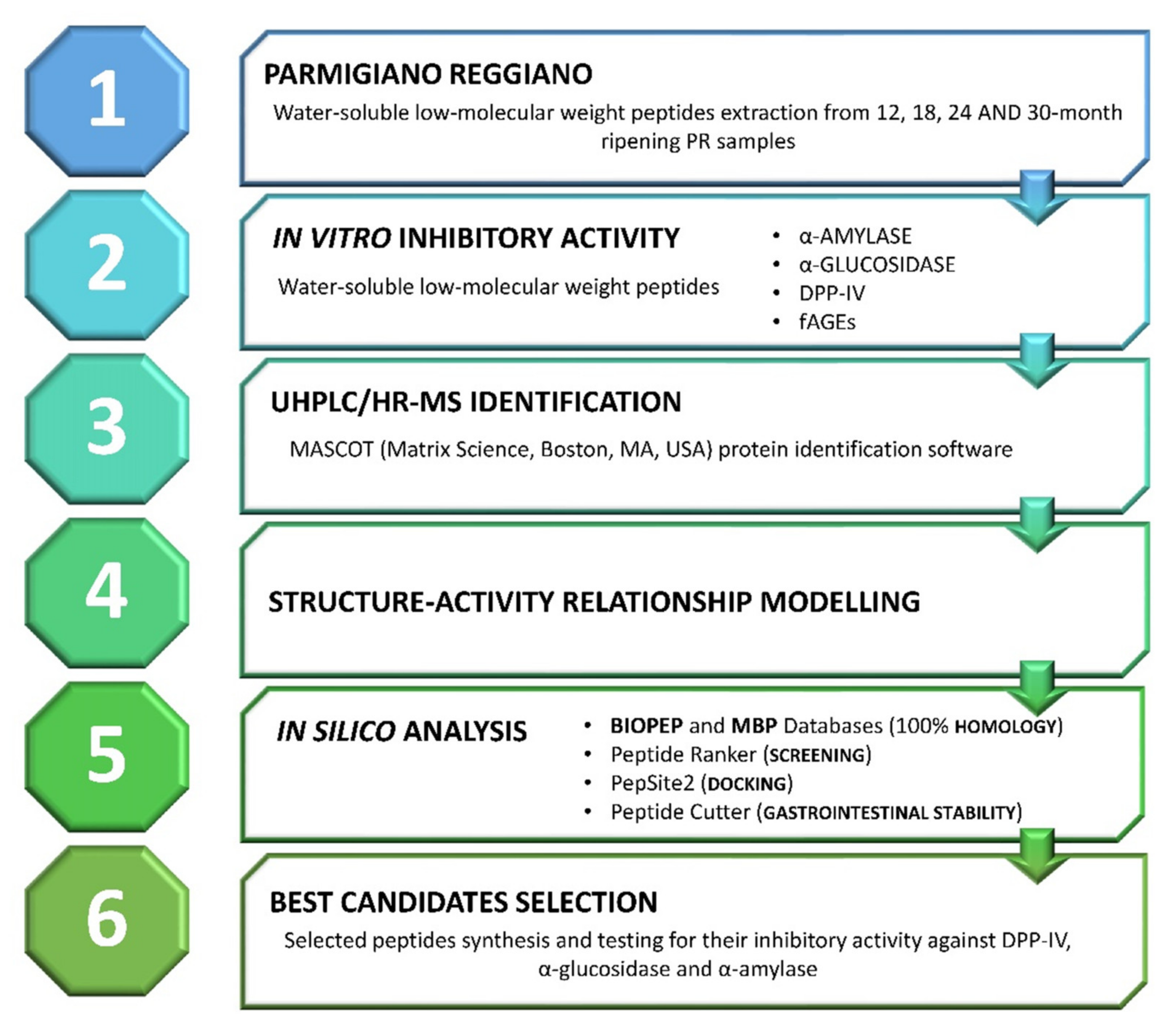 Biology 10 00563 g001