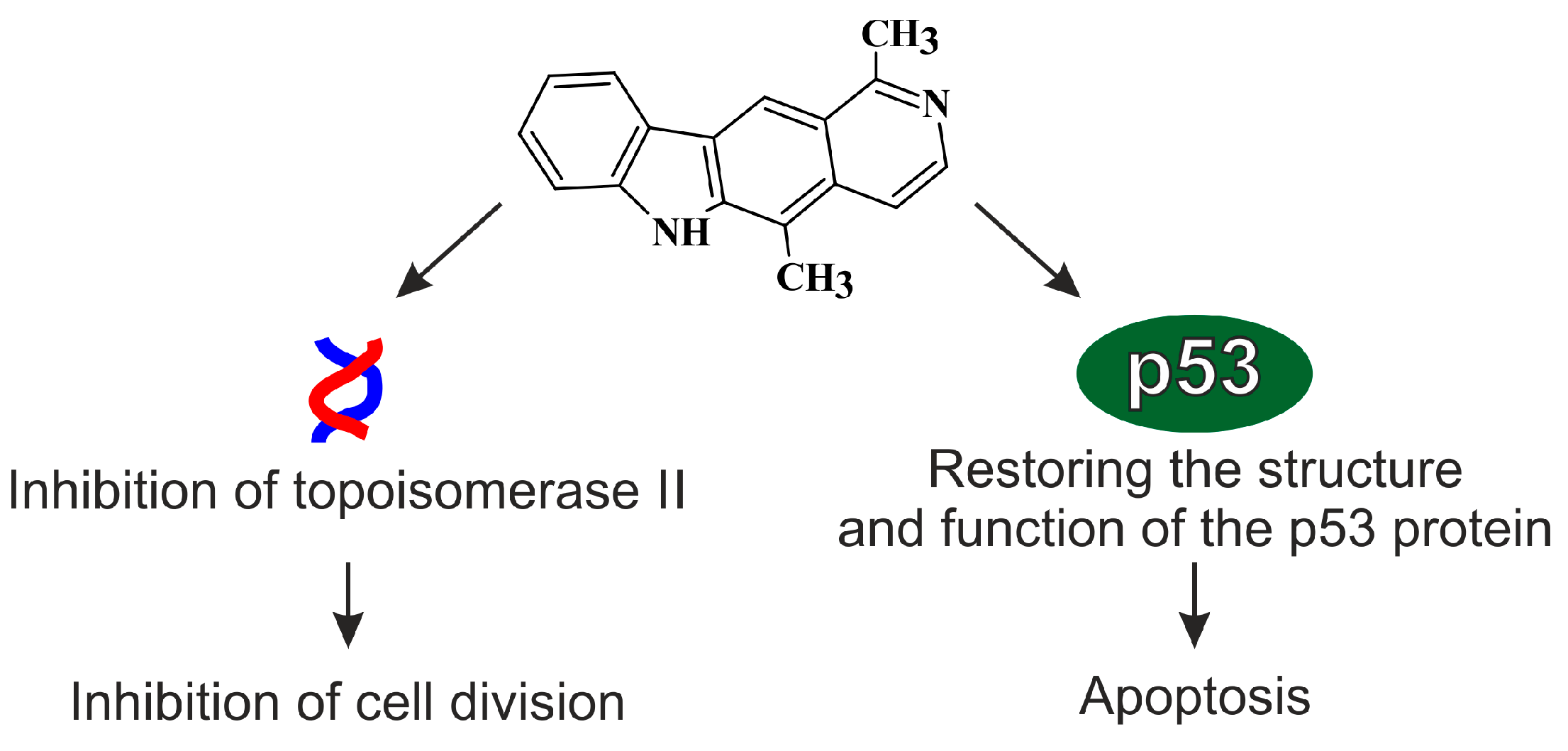 Biology 10 00564 g003