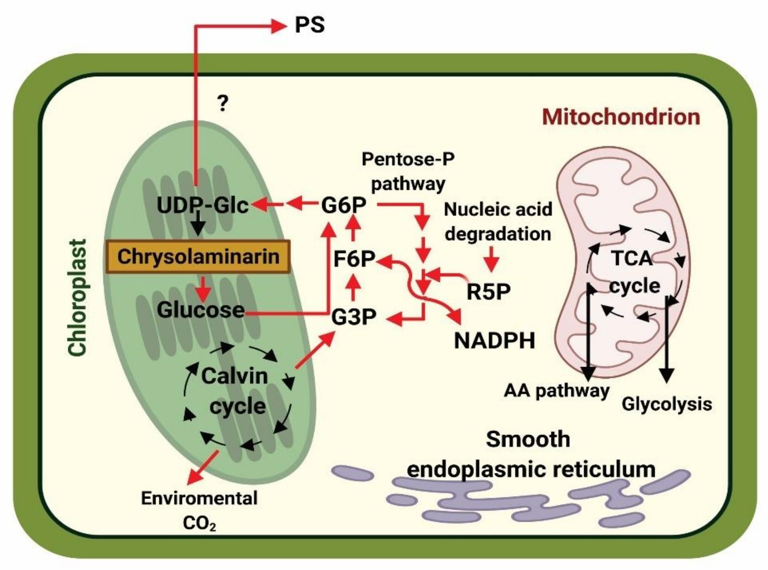 Biology 10 00565 g002 Biology 10 00565 g002