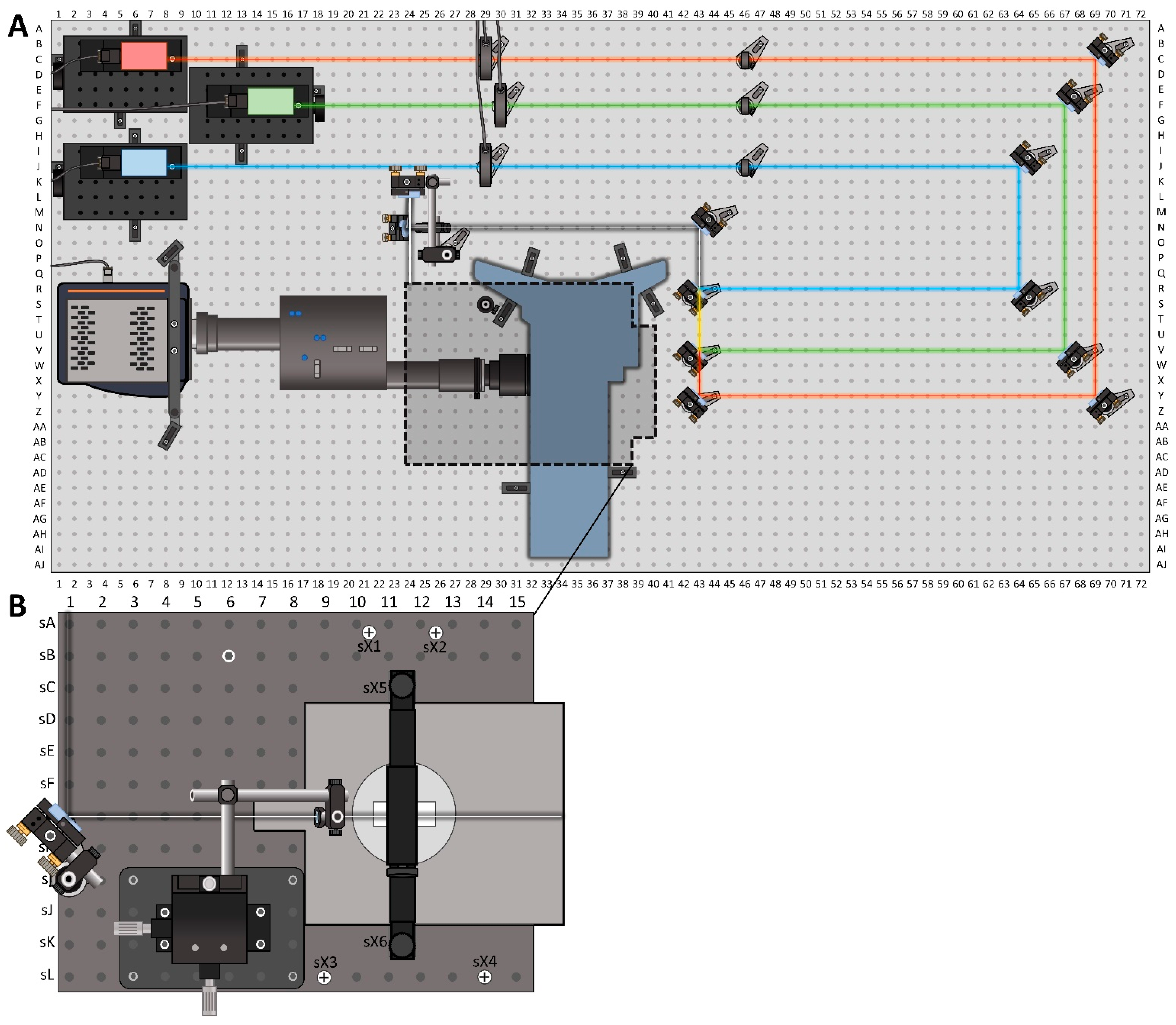 Biology 10 00571 g002 Biology 10 00571 g002