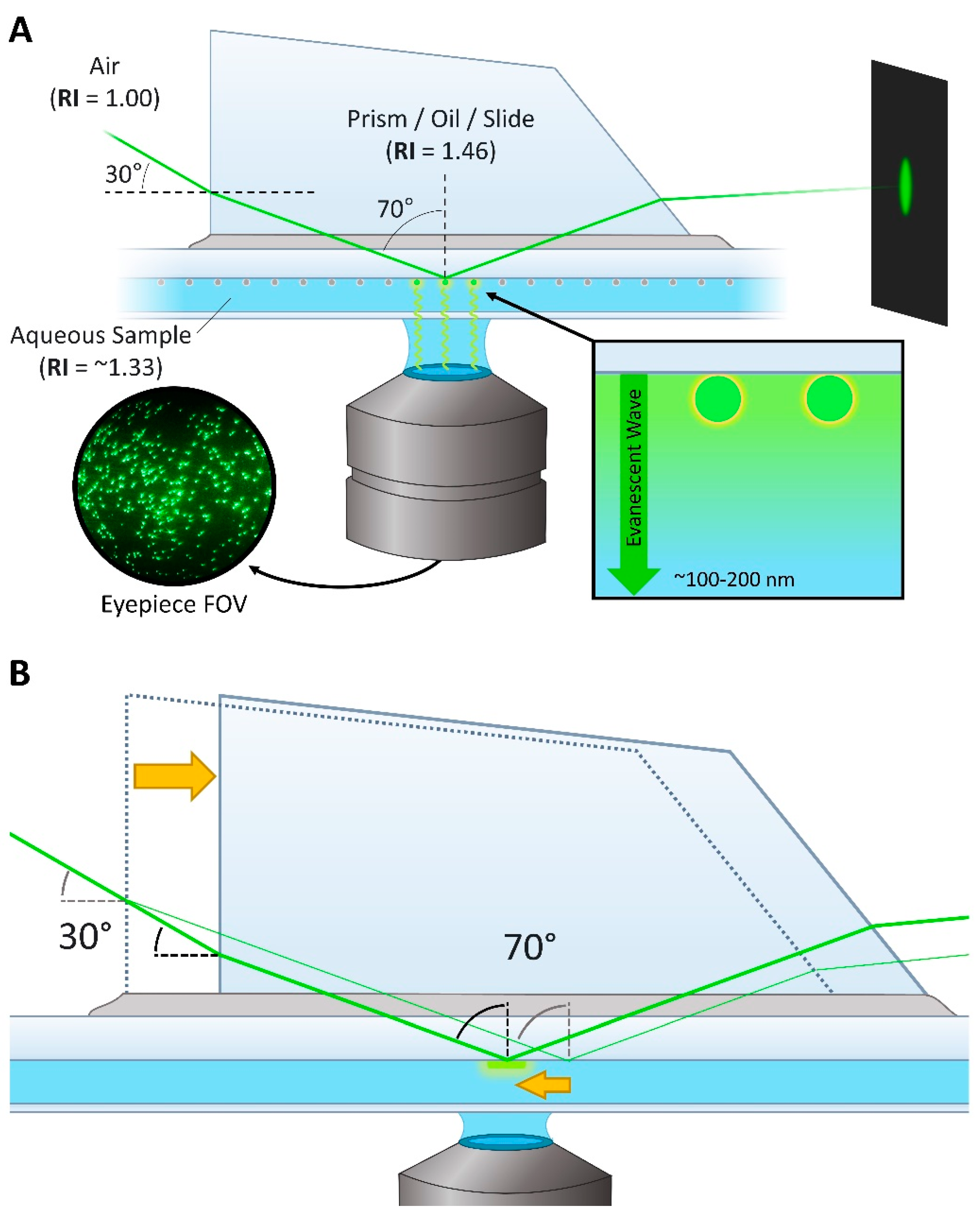 Biology 10 00571 g003 Biology 10 00571 g003