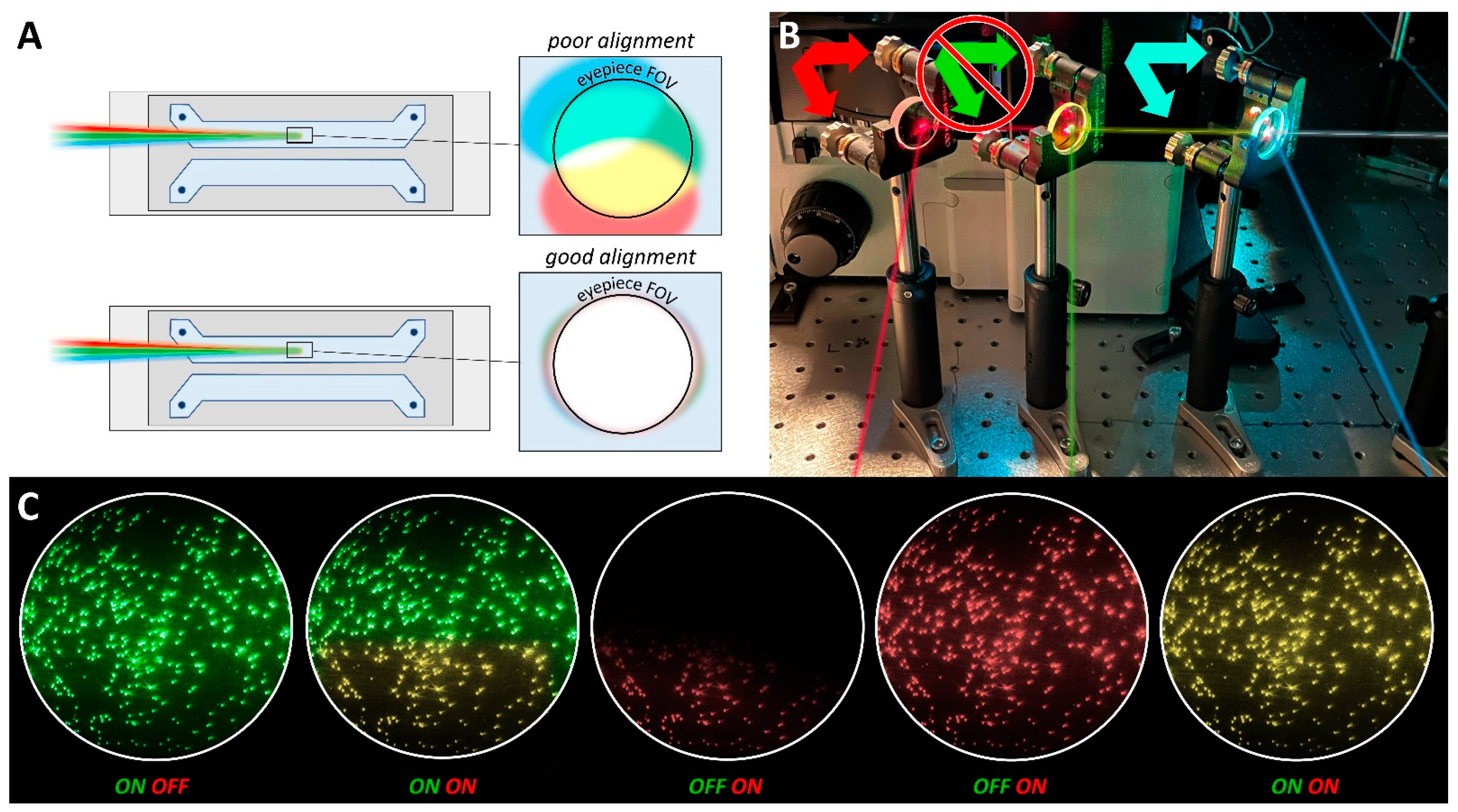 Biology 10 00571 g005 Biology 10 00571 g005