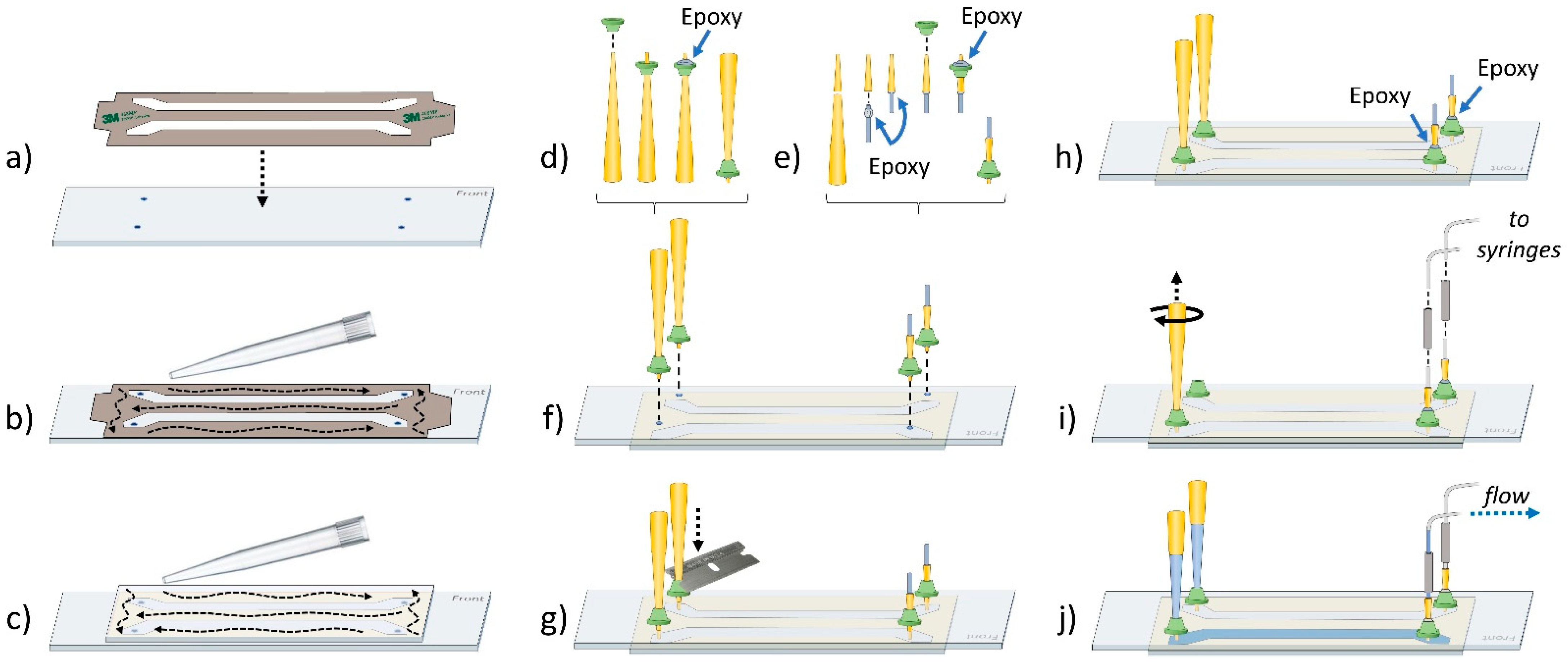 Biology 10 00571 g006 Biology 10 00571 g006