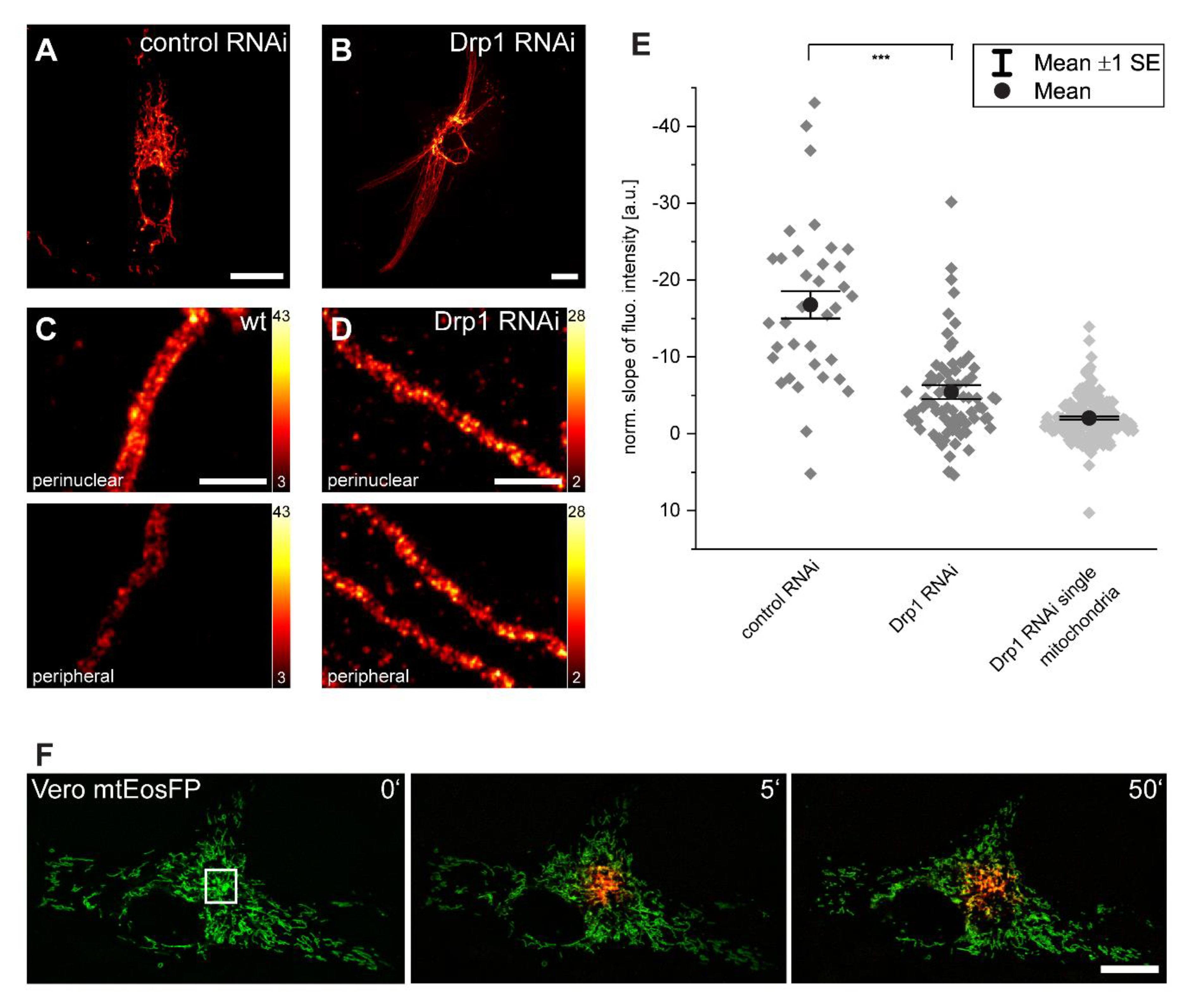 Biology 10 00572 g004 Biology 10 00572 g004