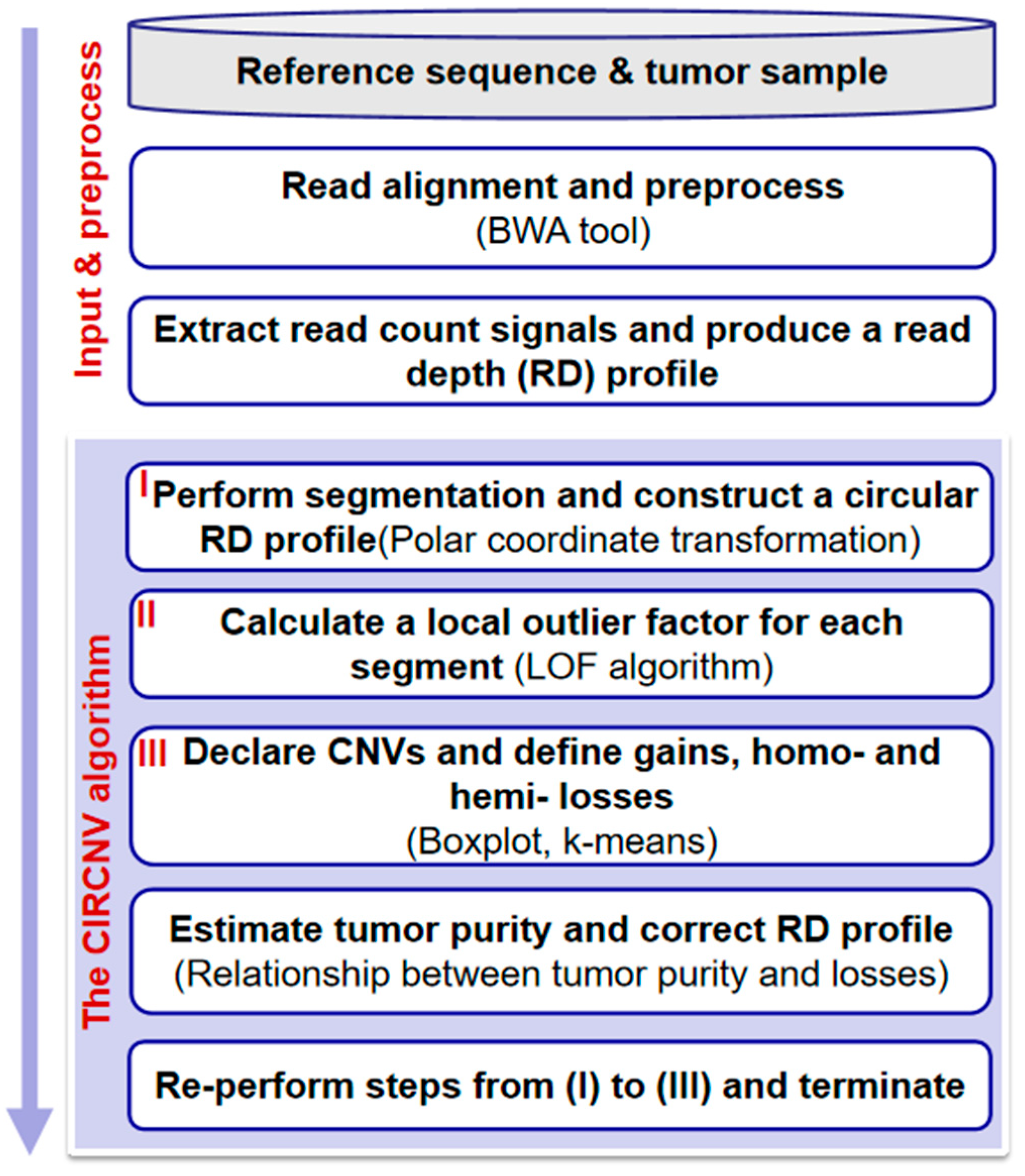 Biology 10 00584 g001