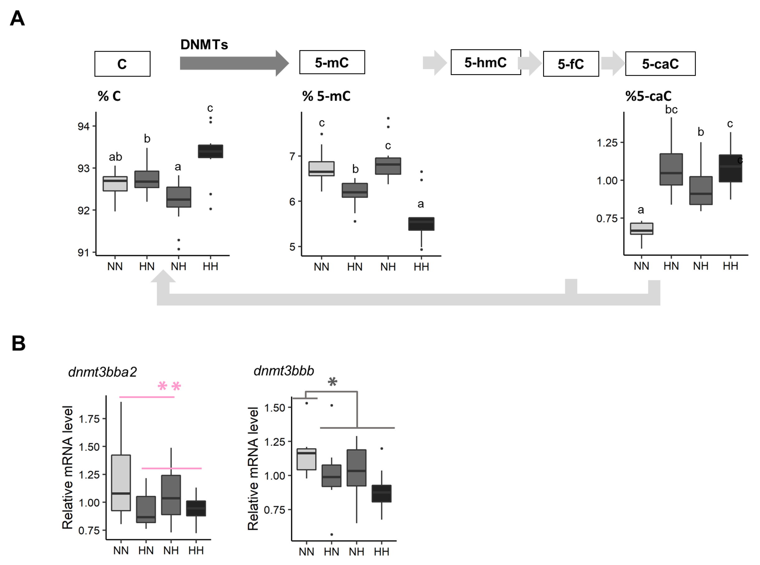 Biology 10 00585 g005 Biology 10 00585 g005