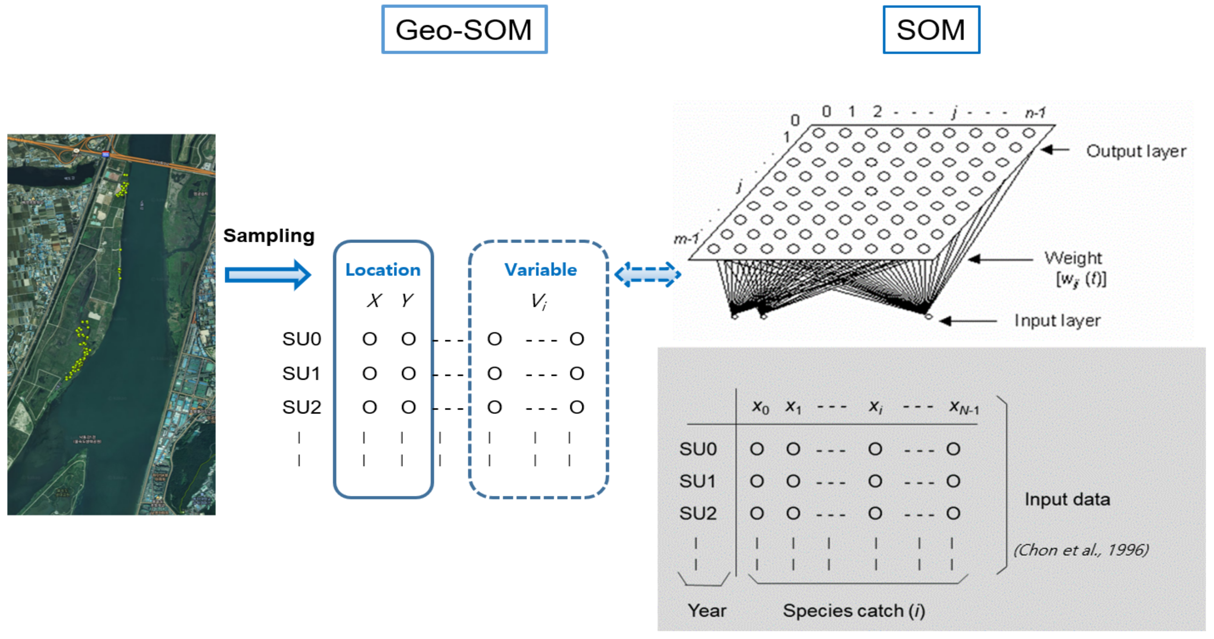 Biology 10 00598 g003