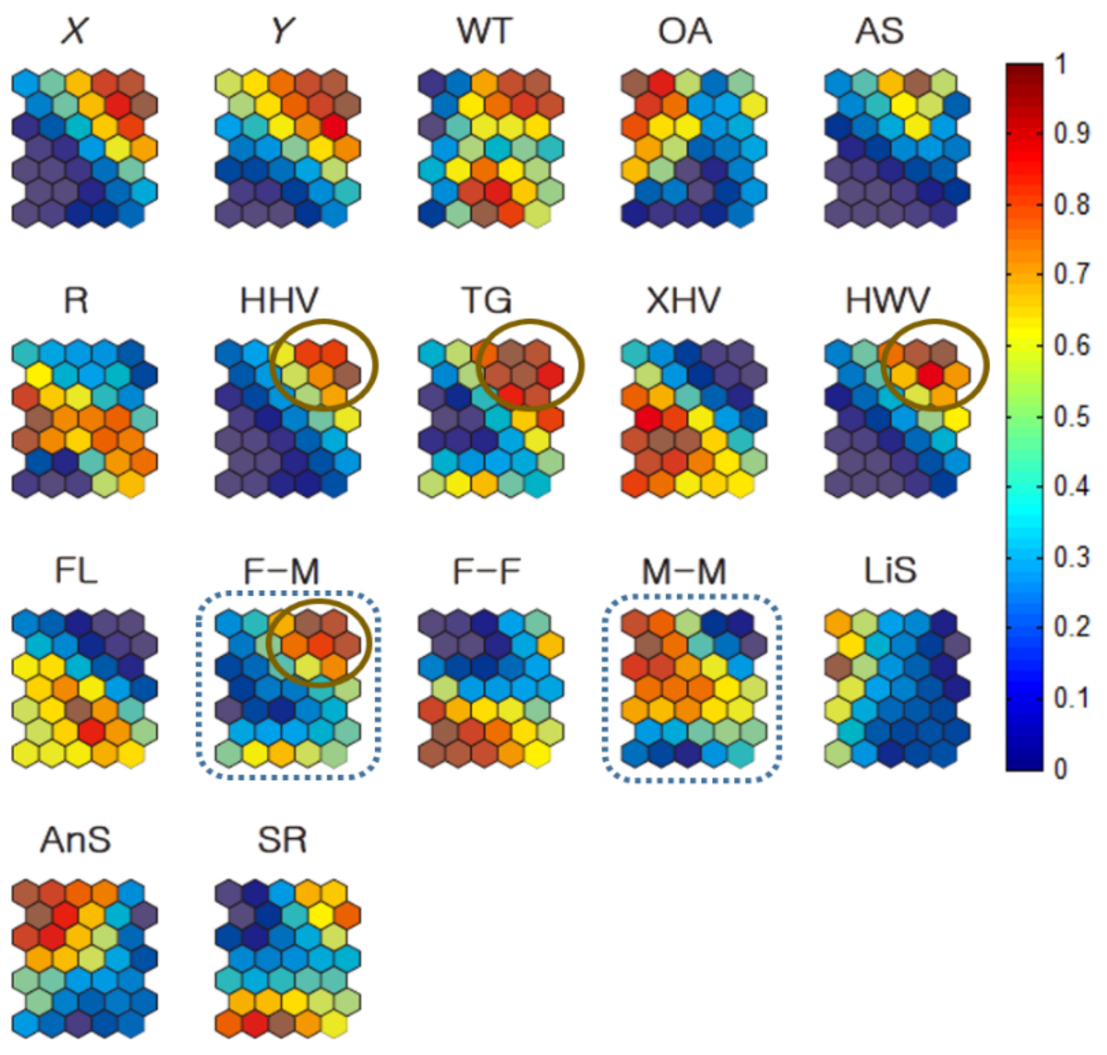 Biology 10 00598 g011