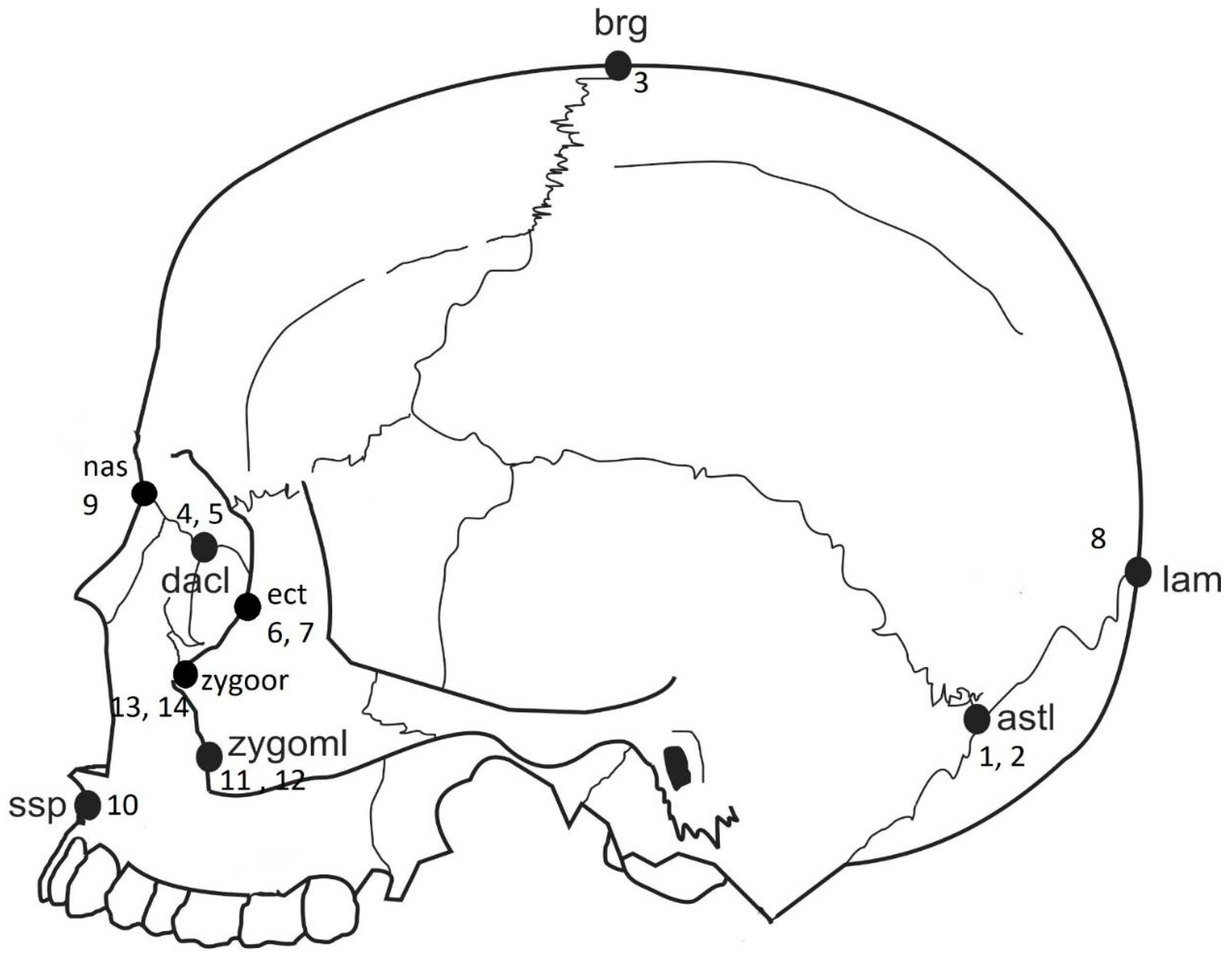 Biology 10 00602 g001 550