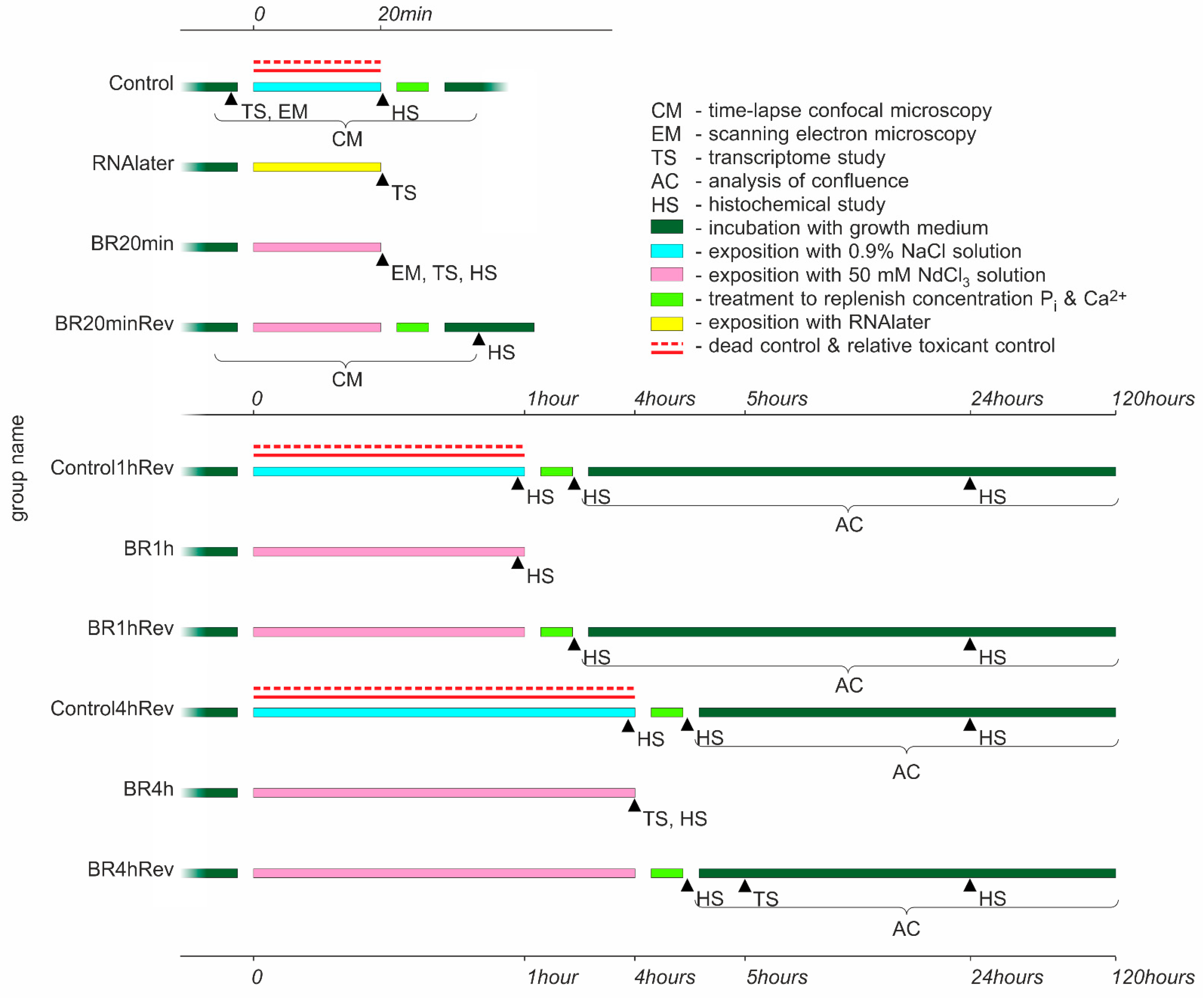 Biology 10 00607 g001 550