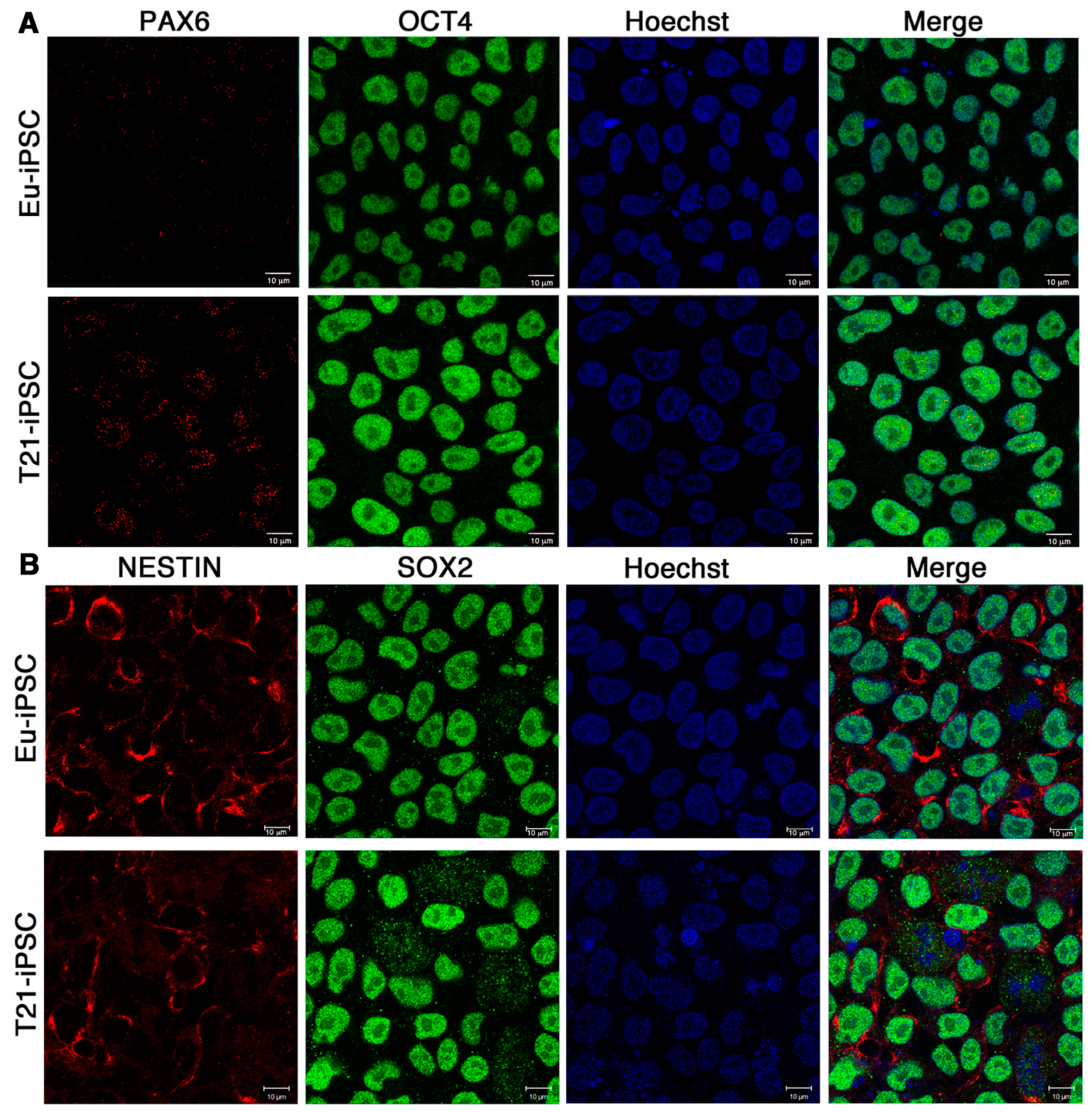 Biology 10 00609 g003 550