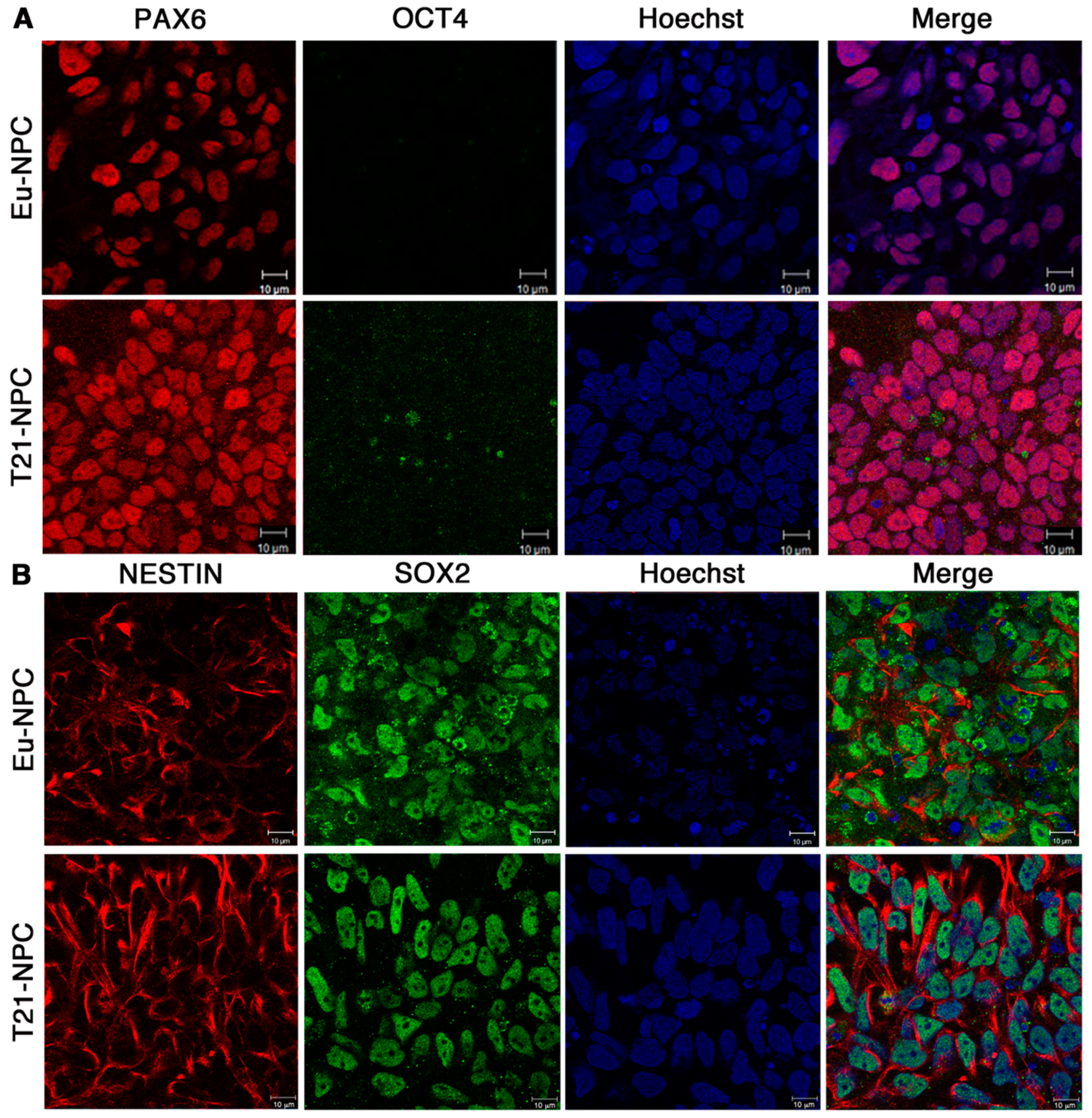 Biology 10 00609 g005 550