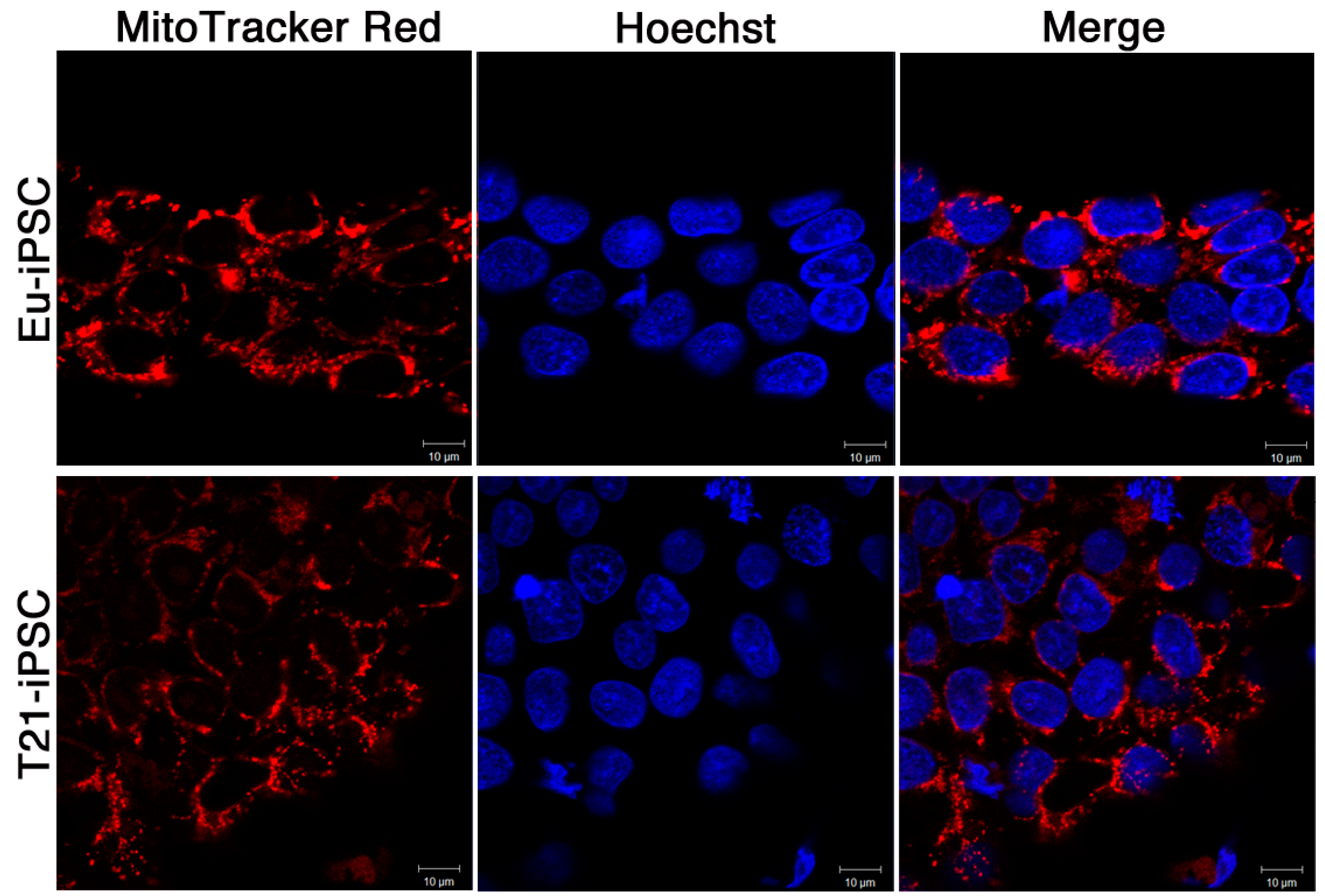 Biology 10 00609 g009 550