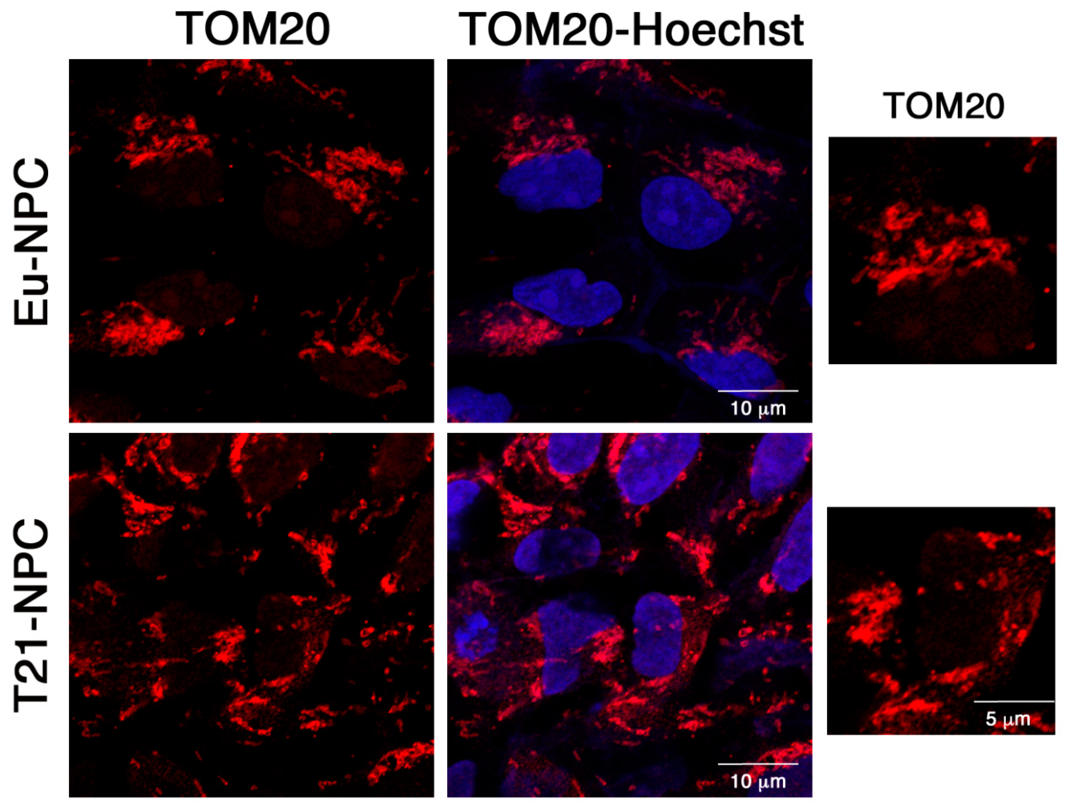 Biology 10 00609 g010 550