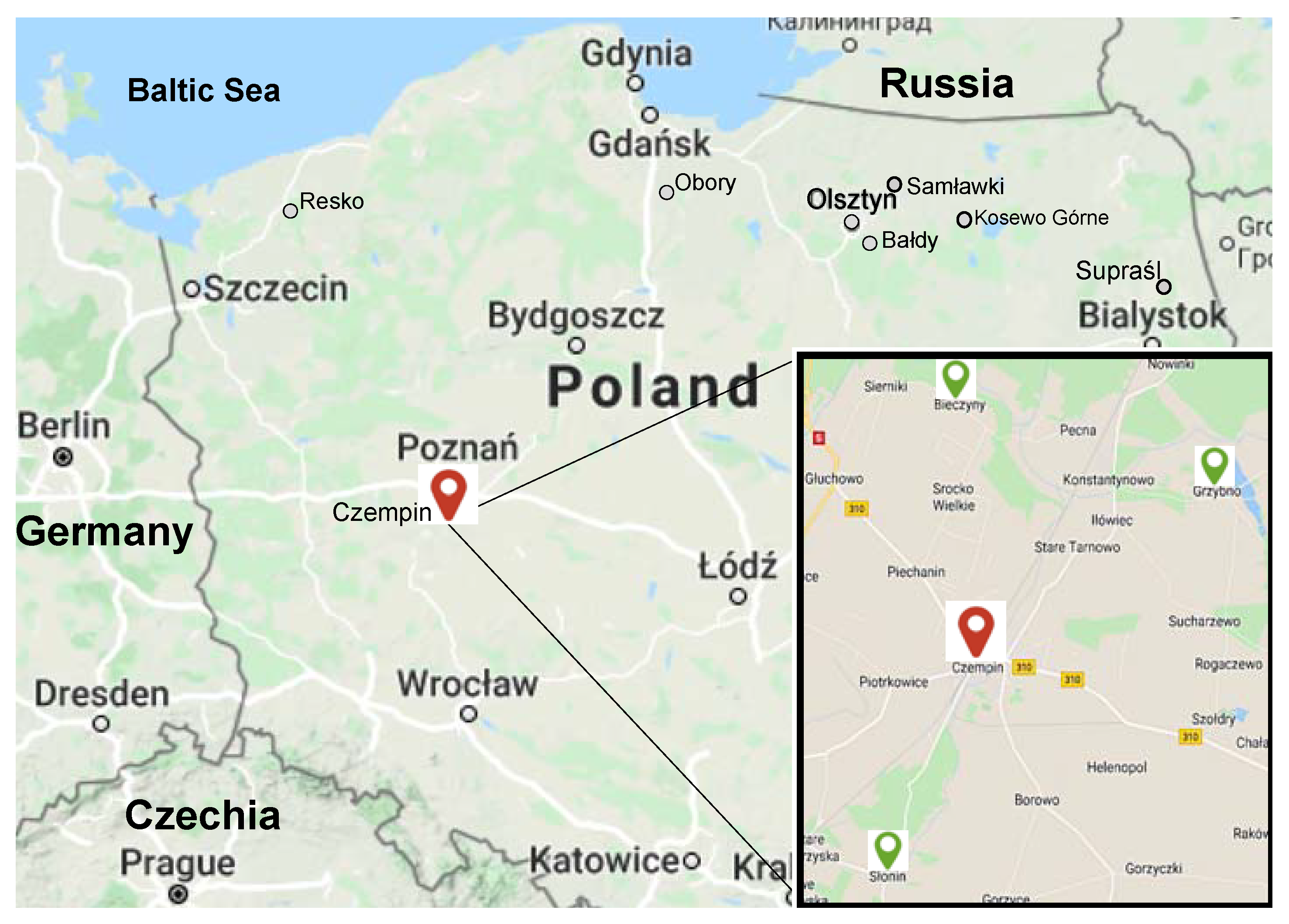 Biology 10 00612 g001 550