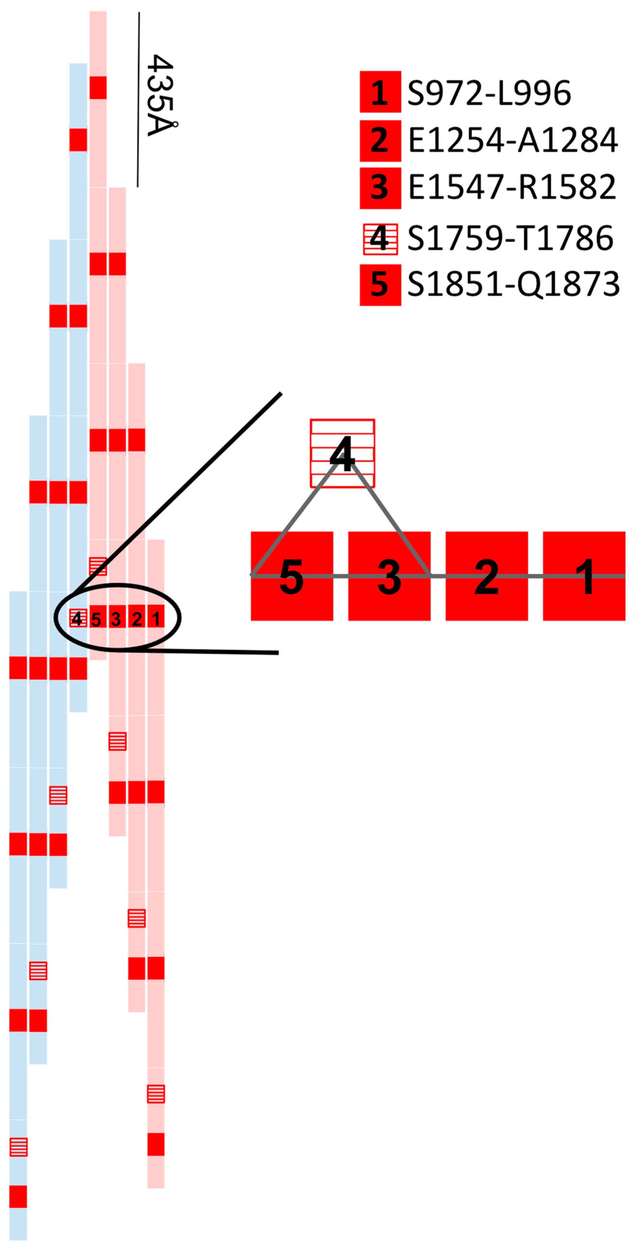 Biology 10 00613 g001 Biology 10 00613 g001