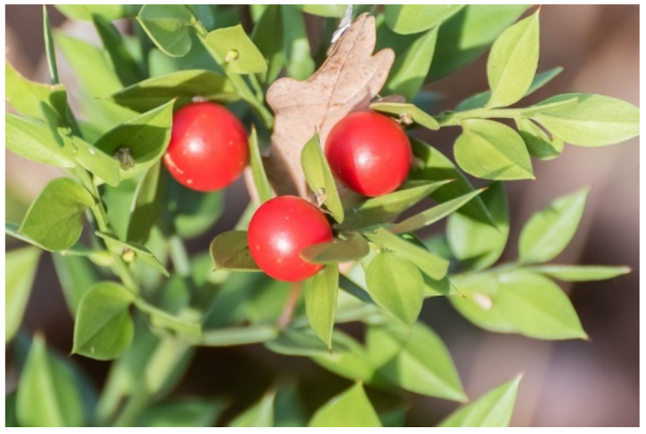 Biology 10 00616 g003 Biology 10 00616 g003