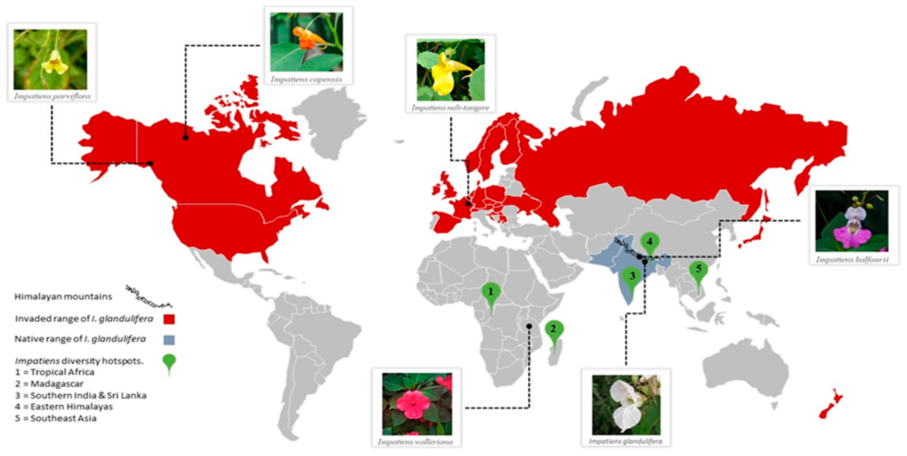 Biology 10 00619 g001