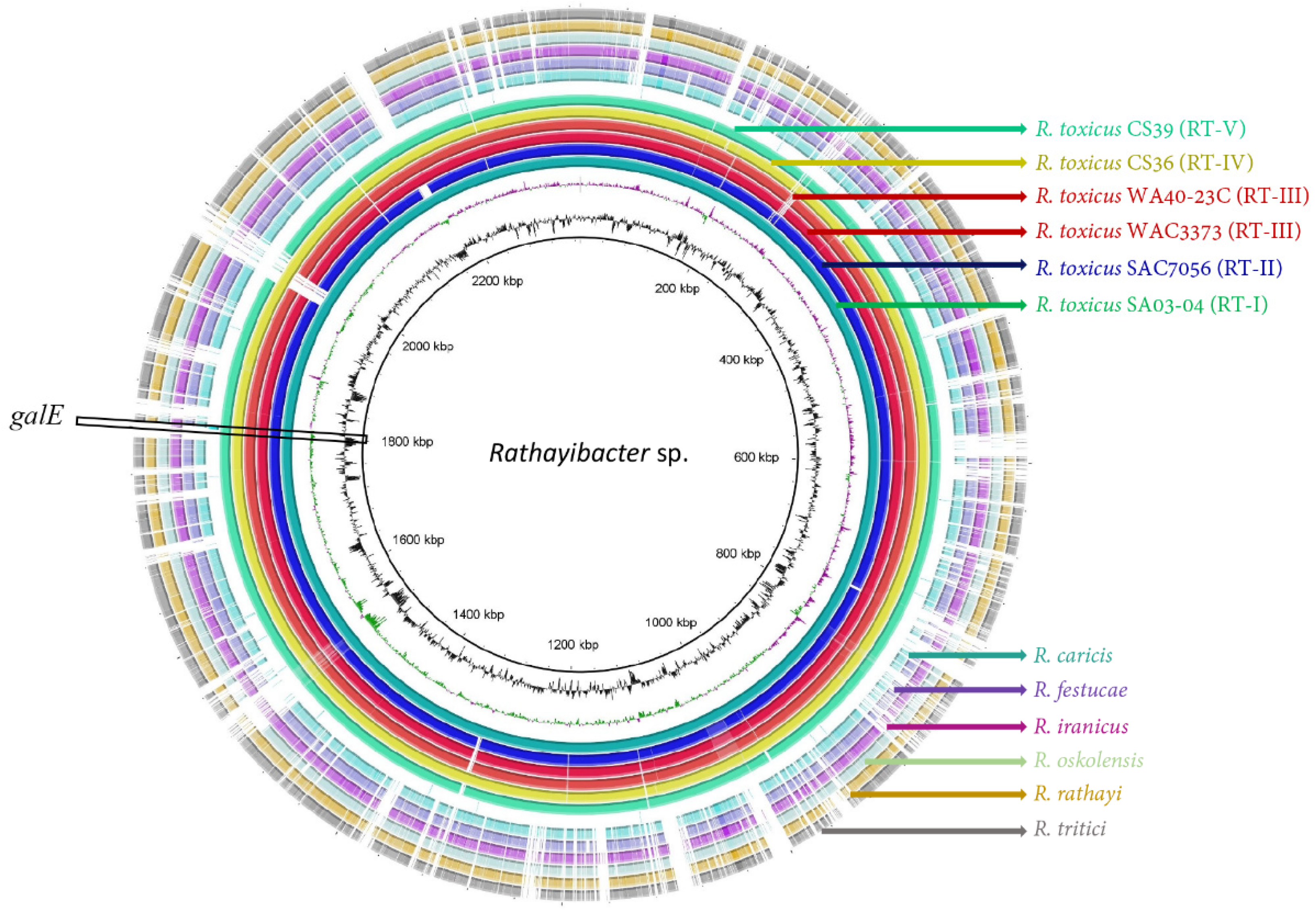 Biology 10 00620 g001