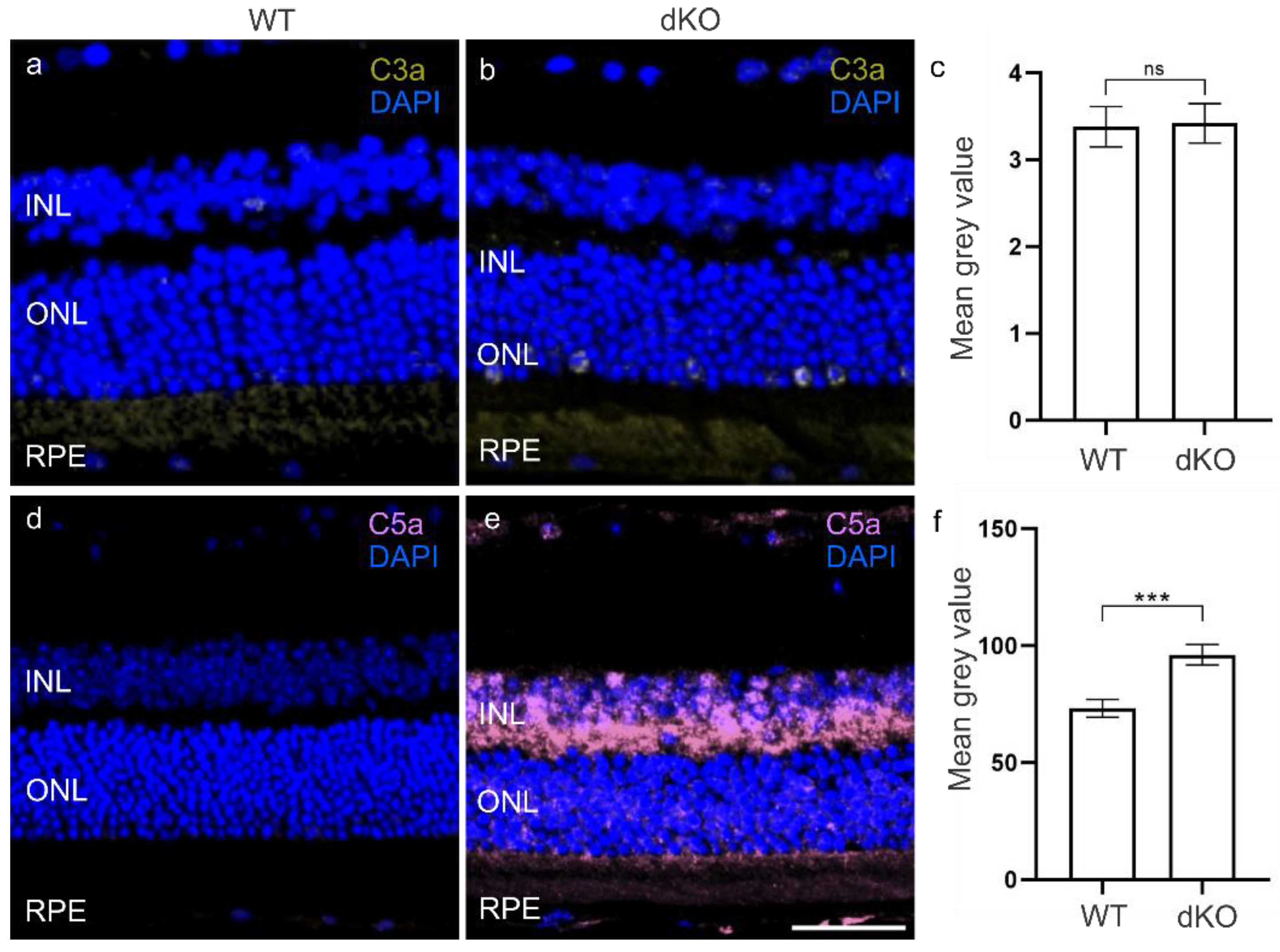 Biology 10 00622 g003 550