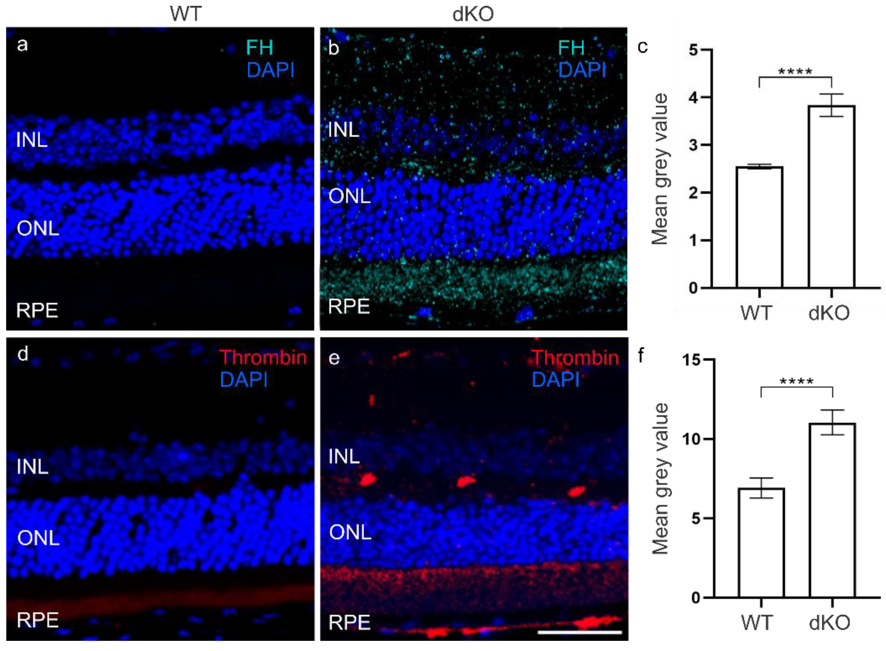 Biology 10 00622 g004 550