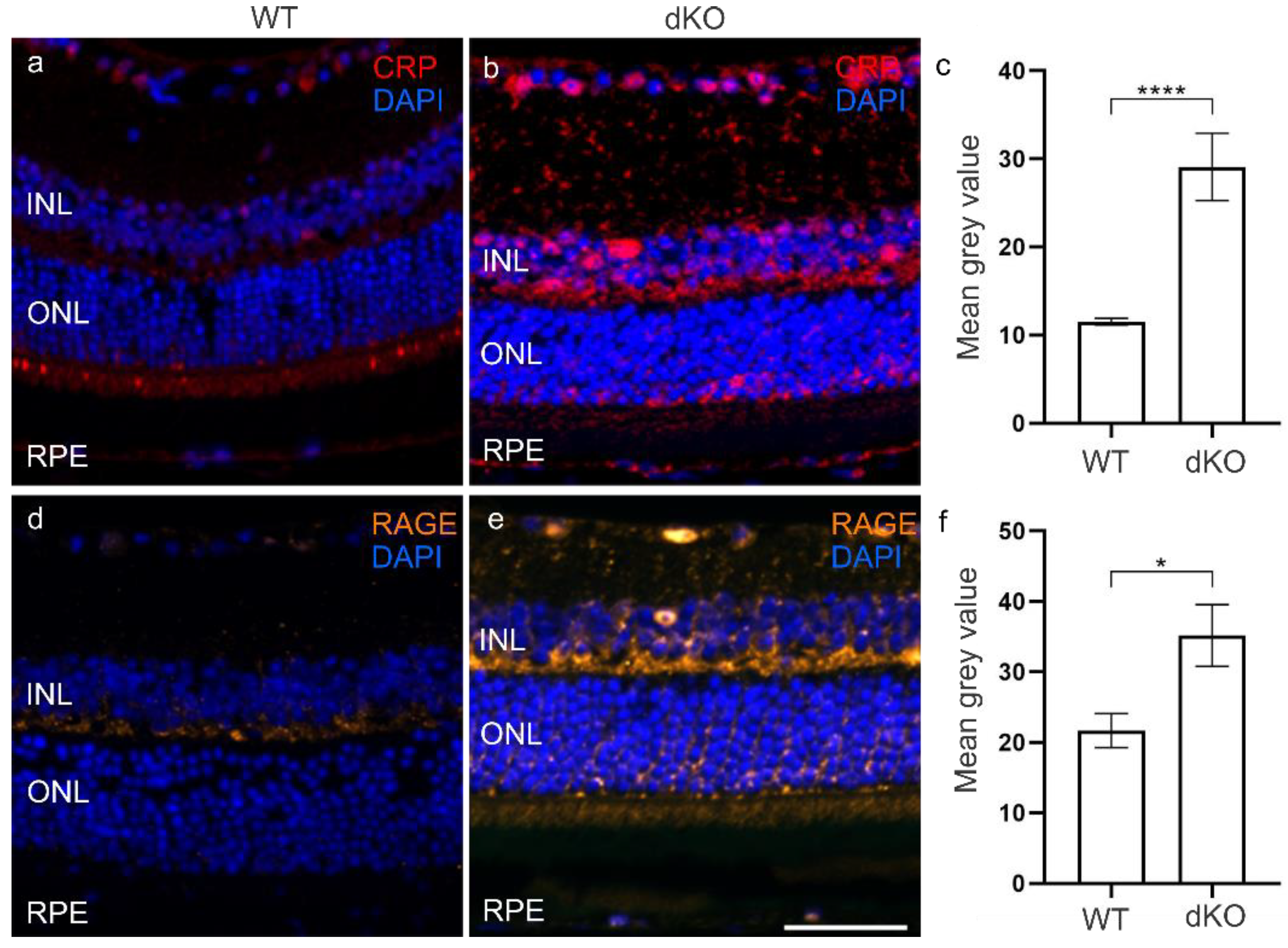 Biology 10 00622 g005 550