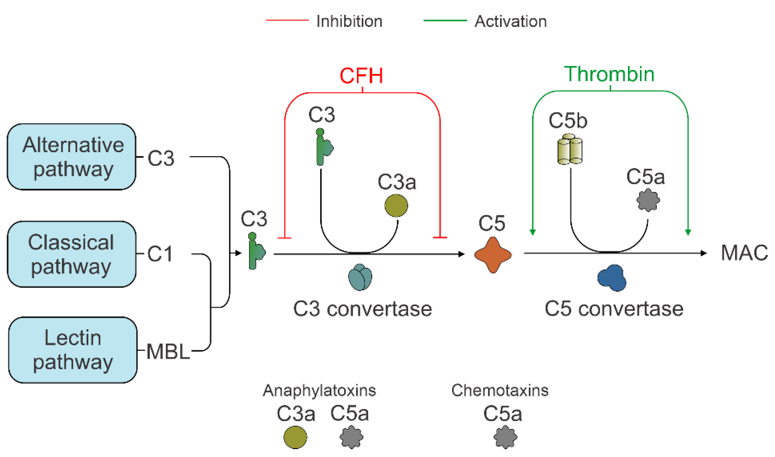 Biology 10 00622 g006 550