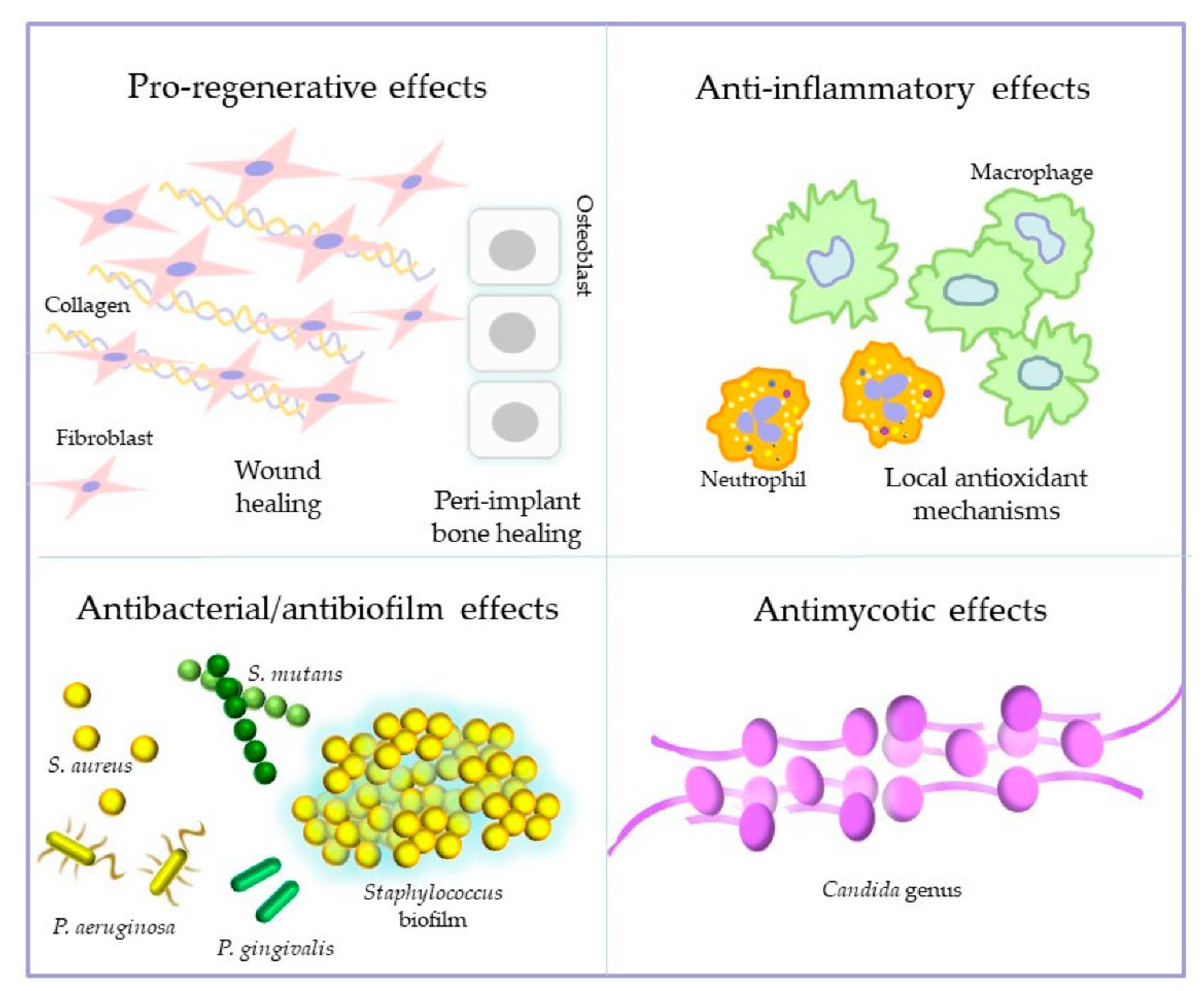 Biology 10 00625 g002 550