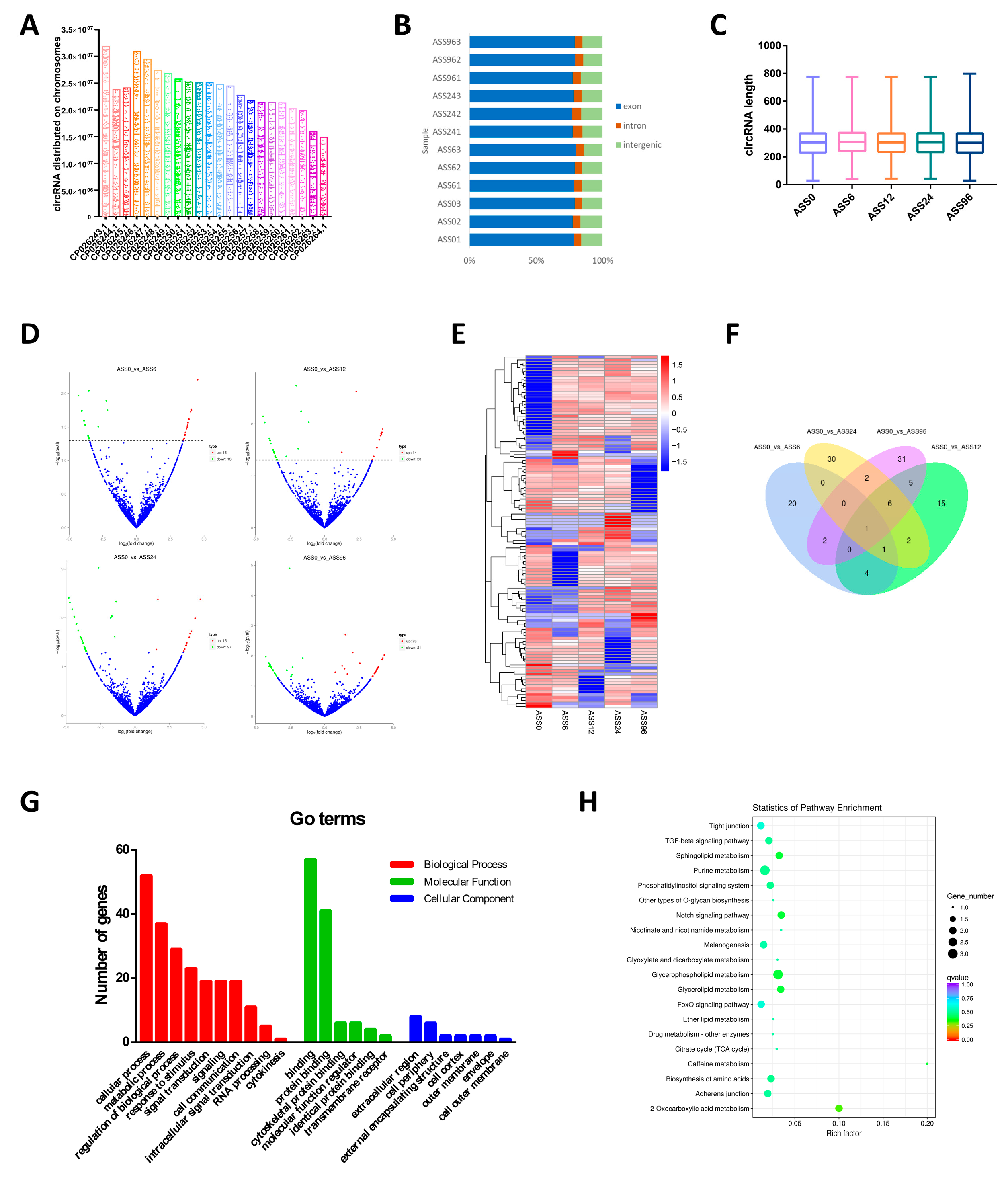 Biology 10 00626 g001