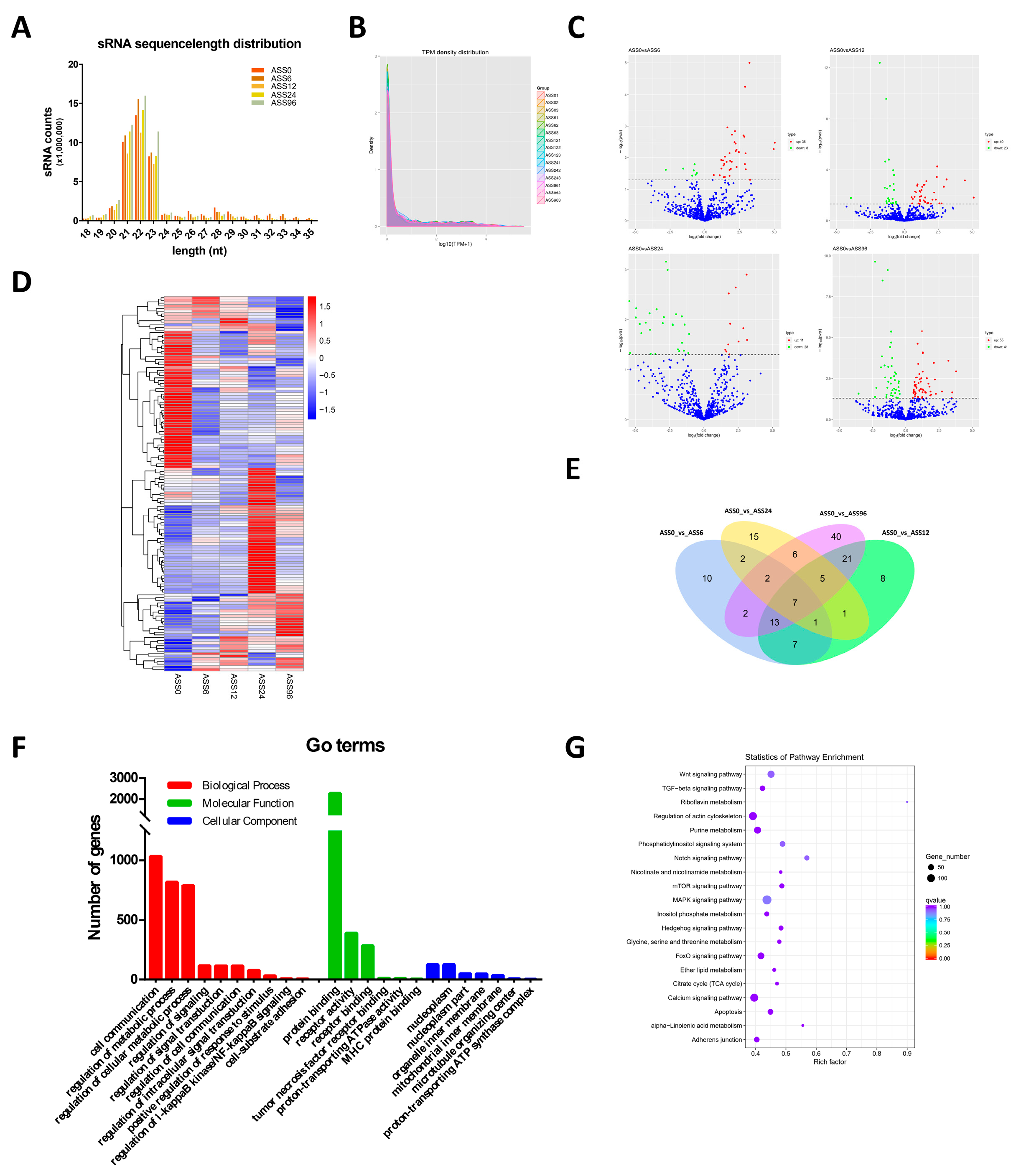 Biology 10 00626 g002