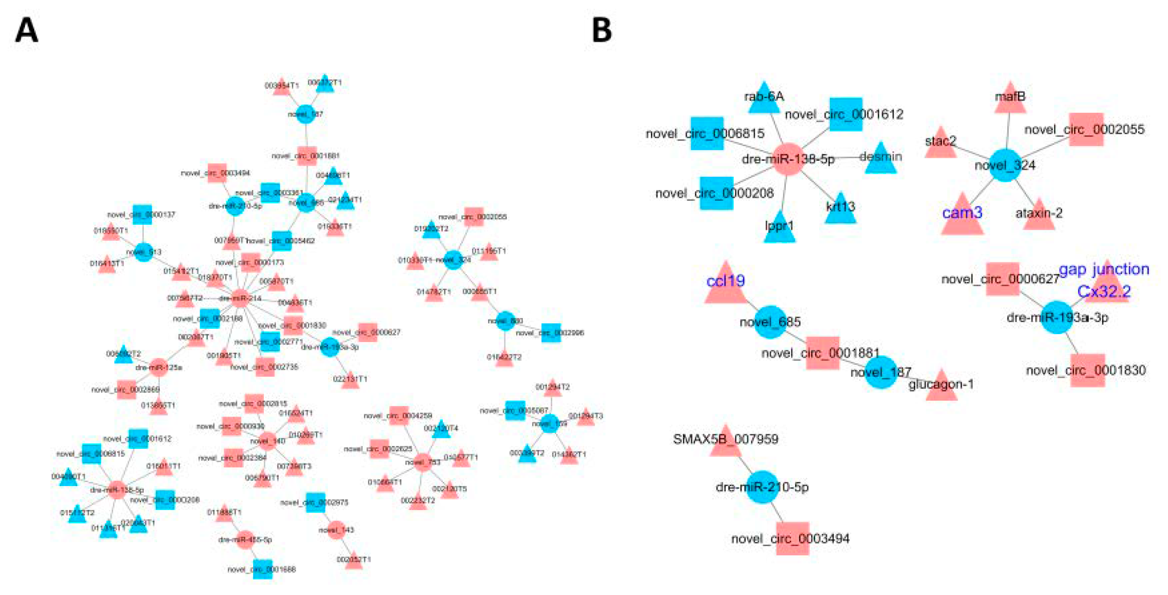Biology 10 00626 g004