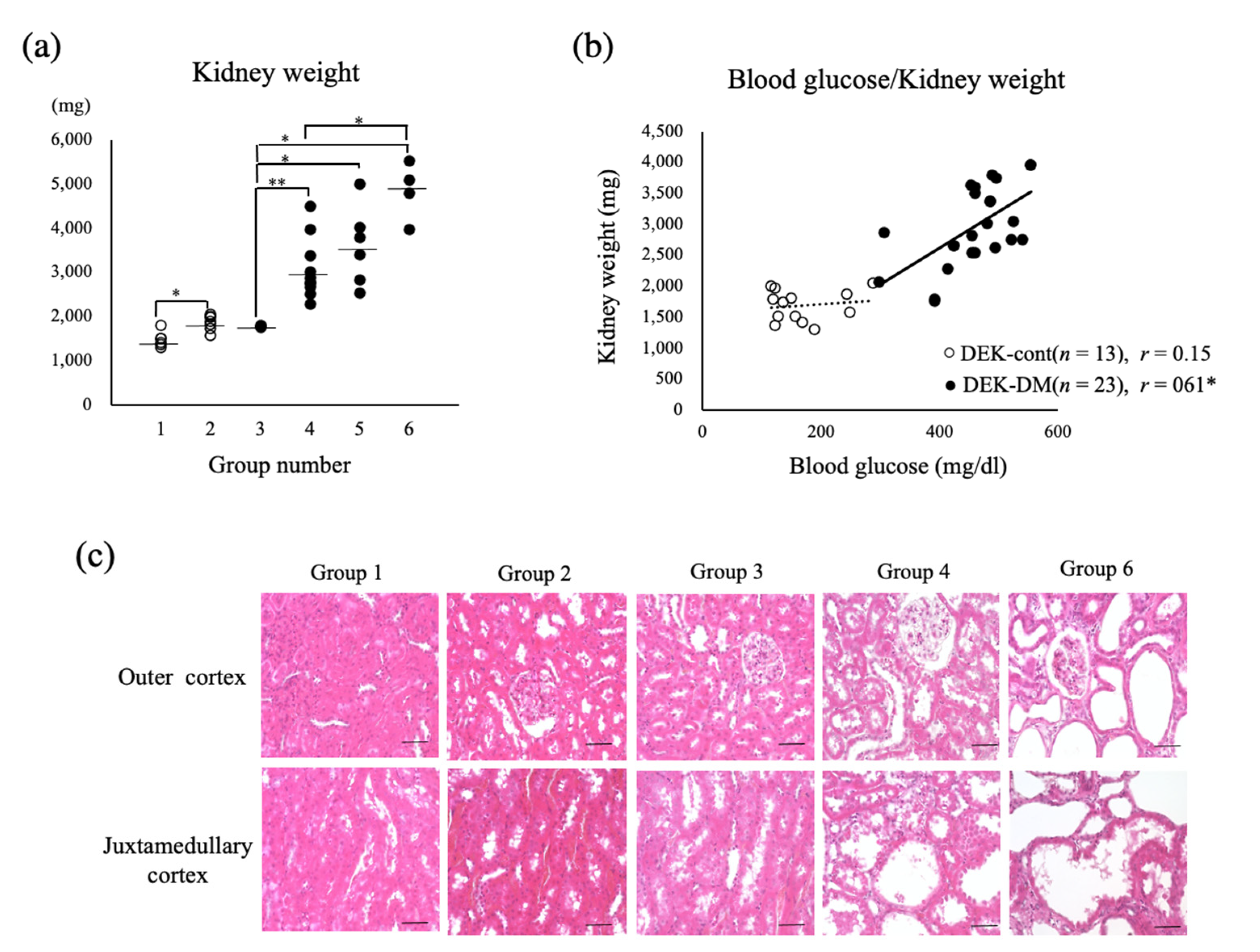 Biology 10 00633 g002