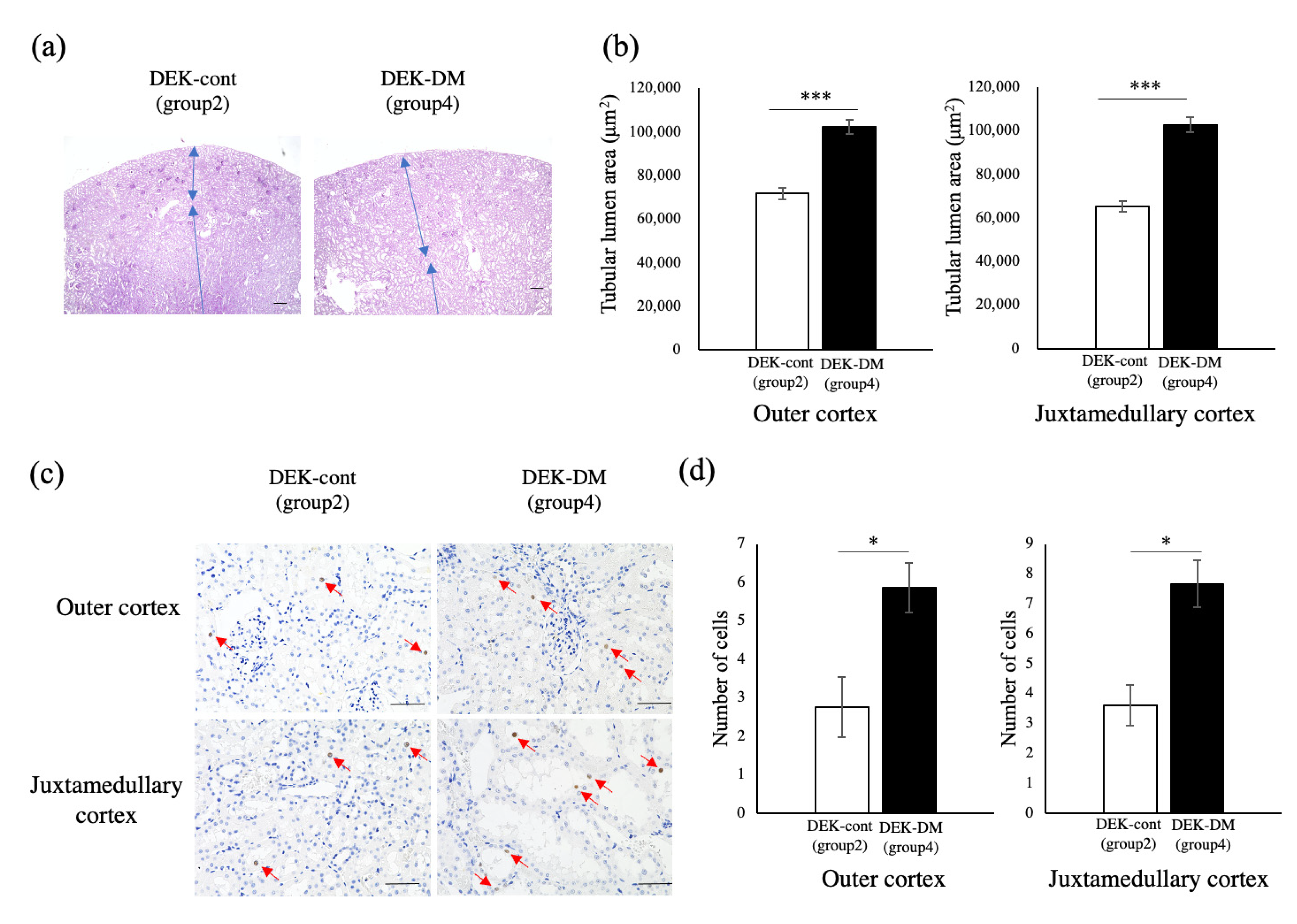 Biology 10 00633 g003