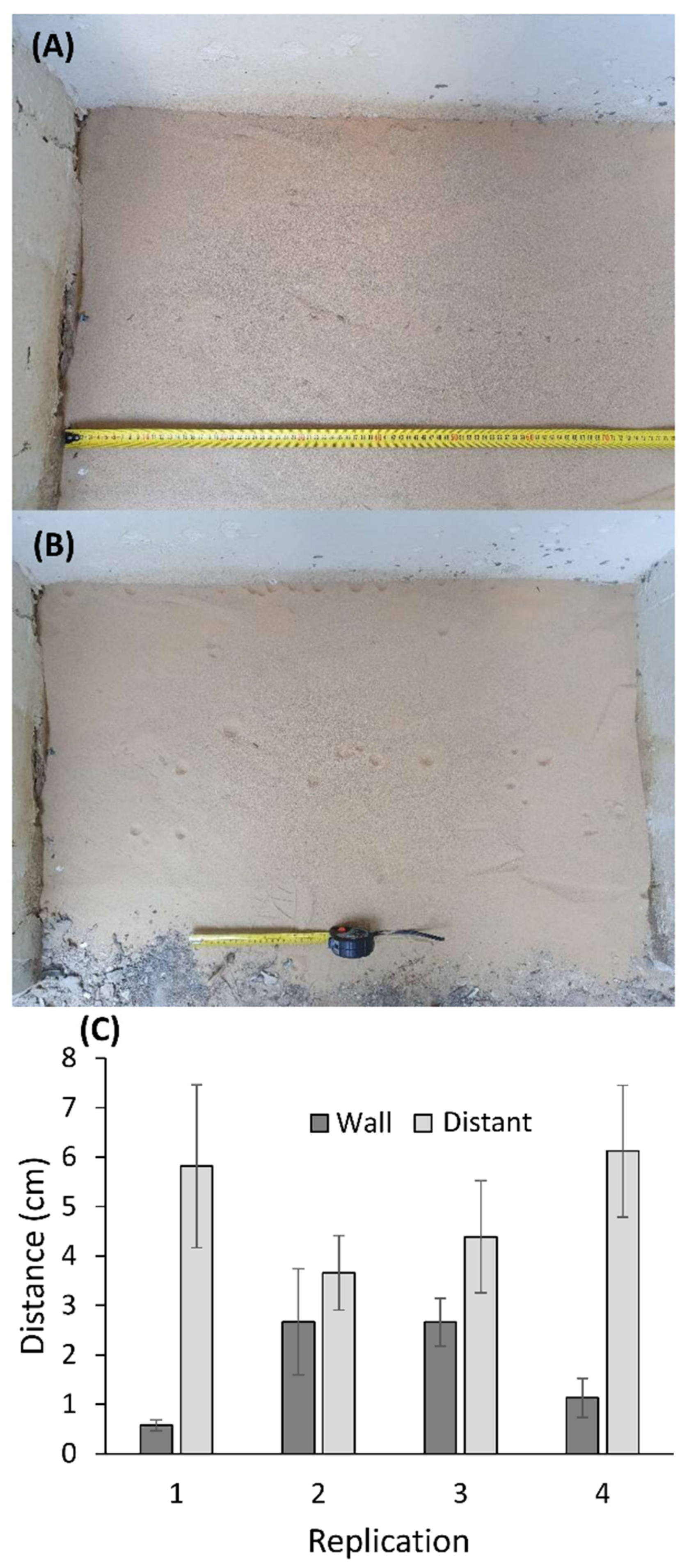 Biology 10 00635 g006