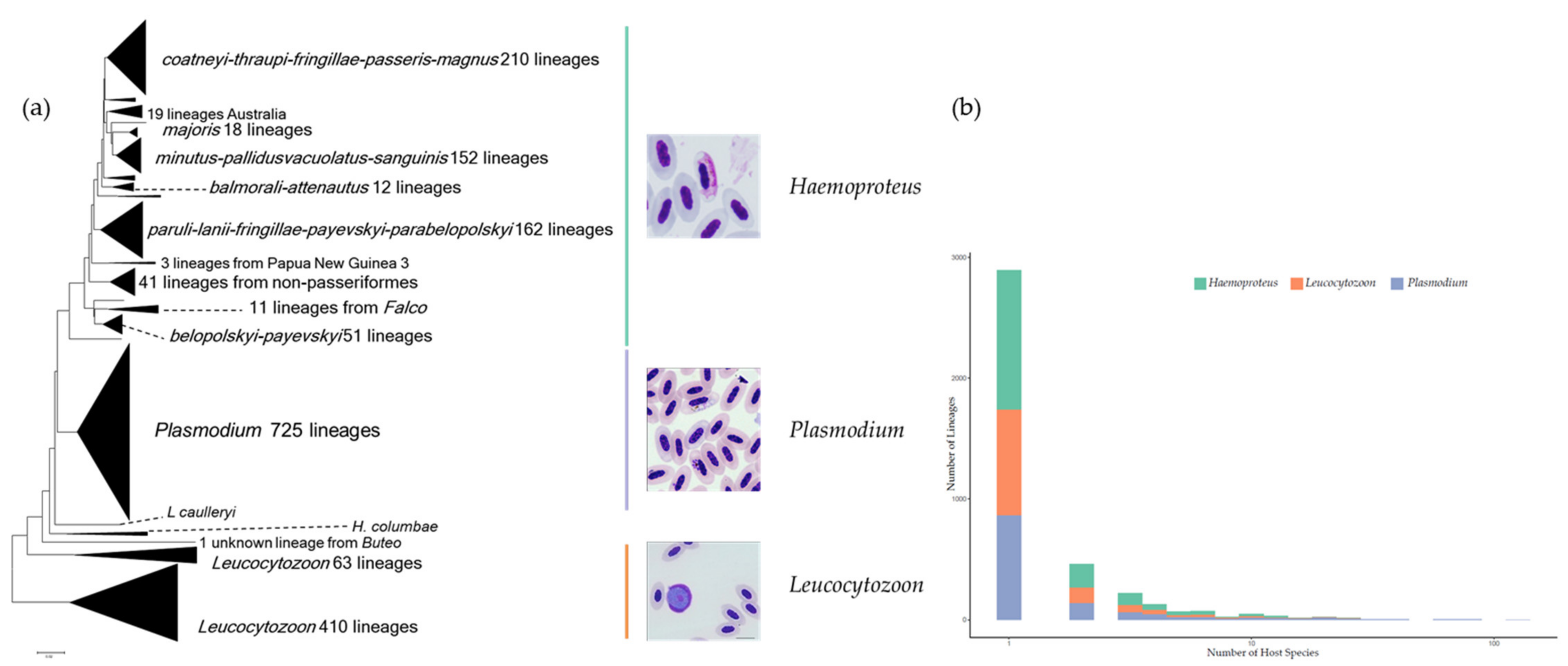 Biology 10 00636 g001 Biology 10 00636 g001