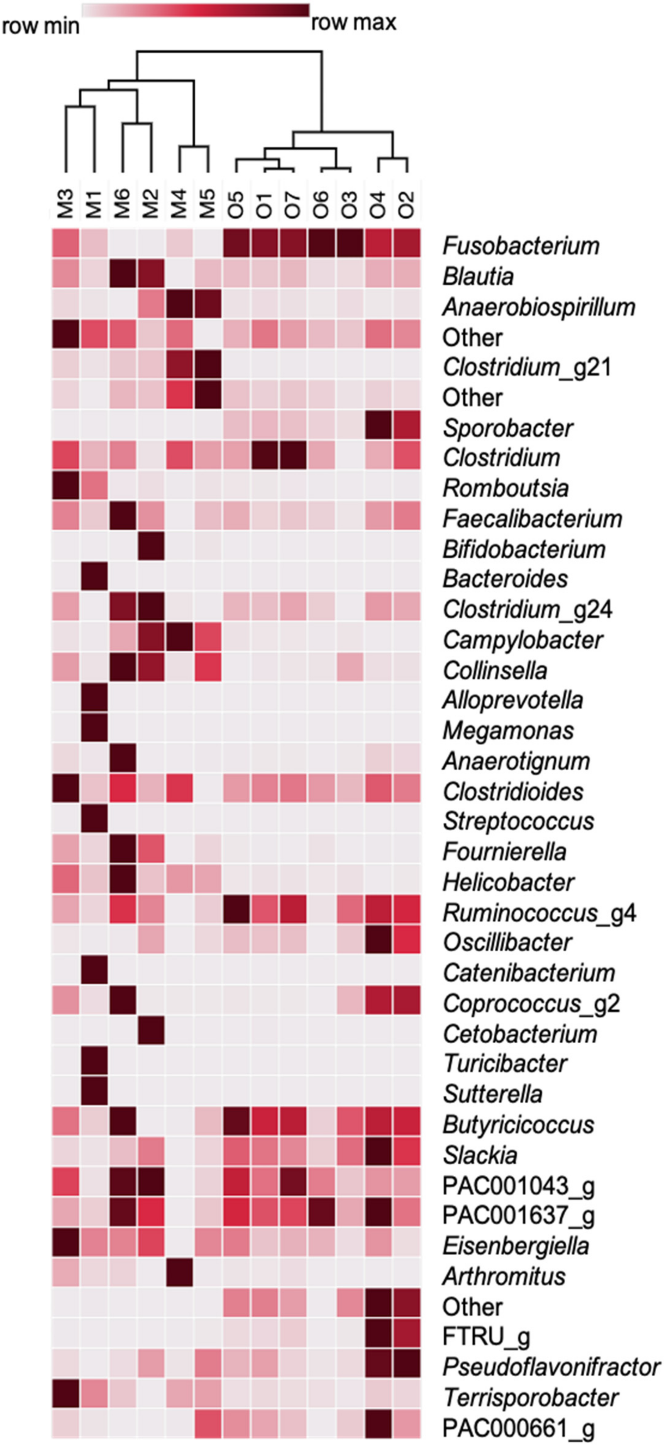 Biology 10 00637 g005