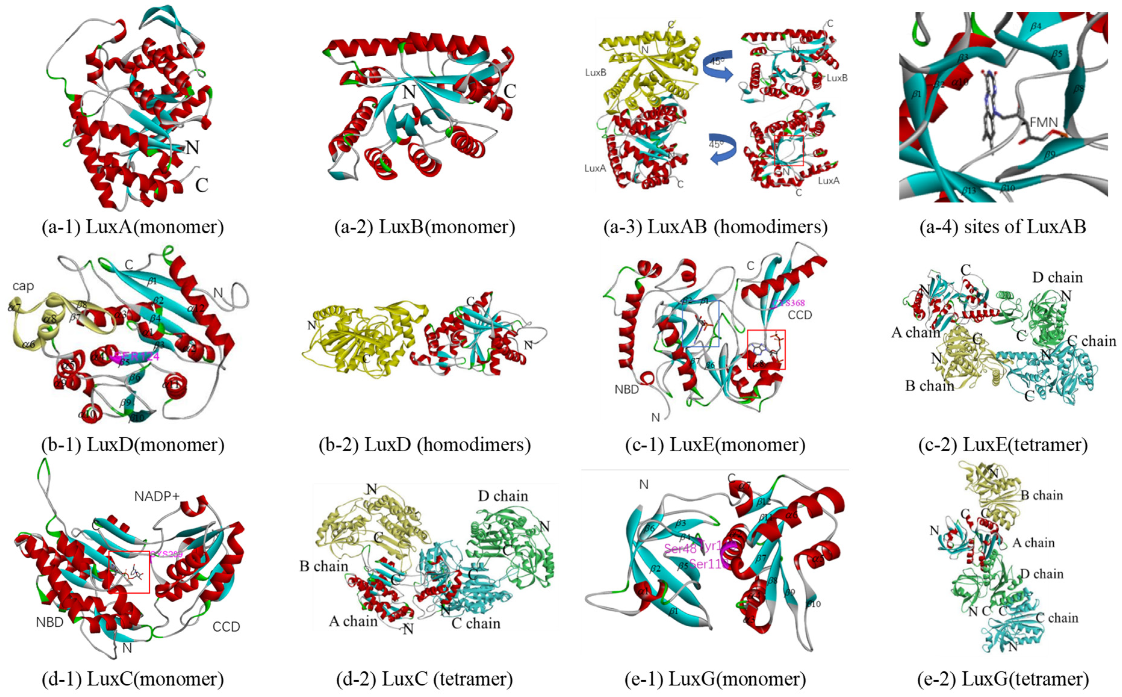 Biology 10 00638 g005