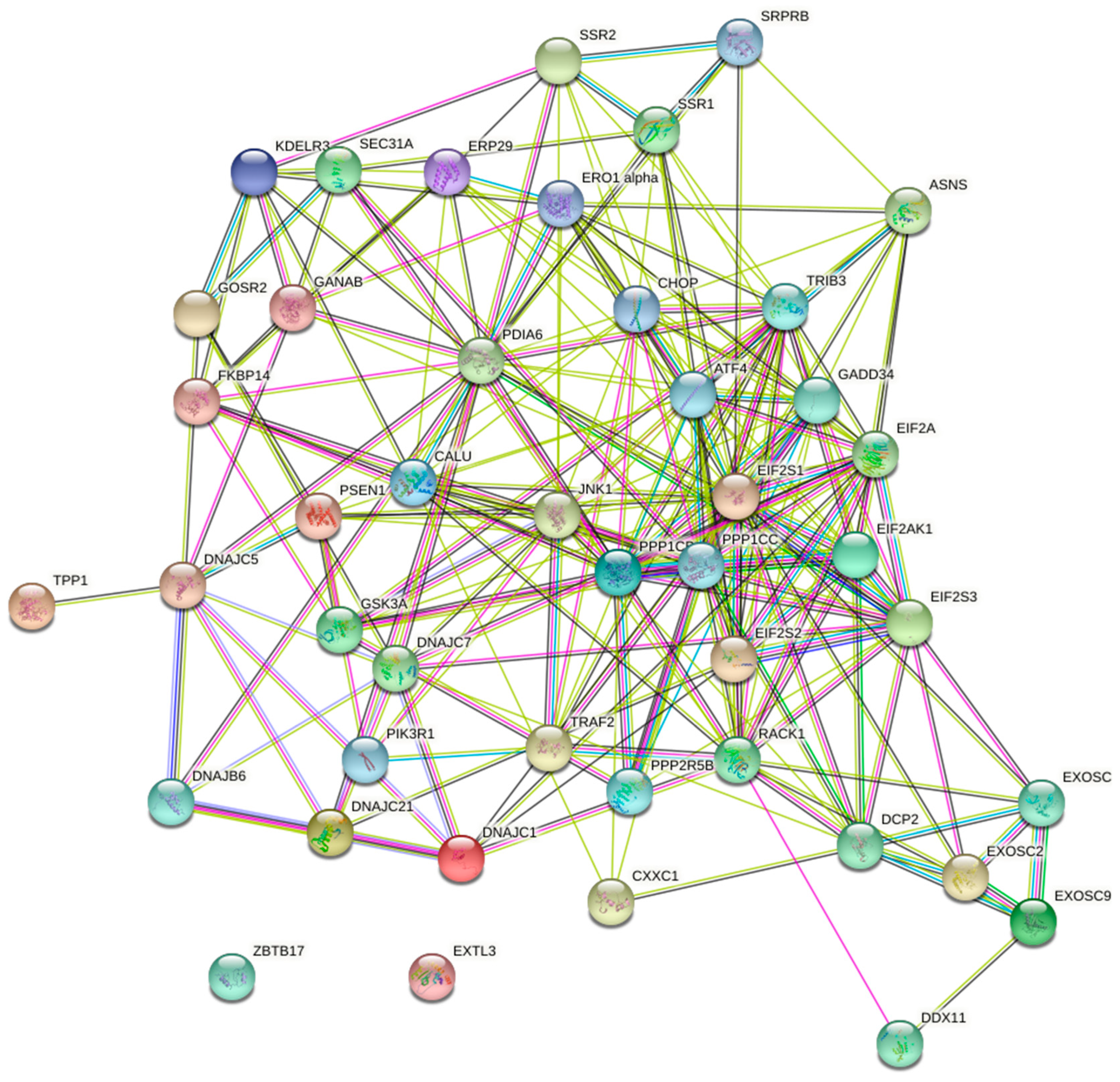 Biology 10 00640 g003 550